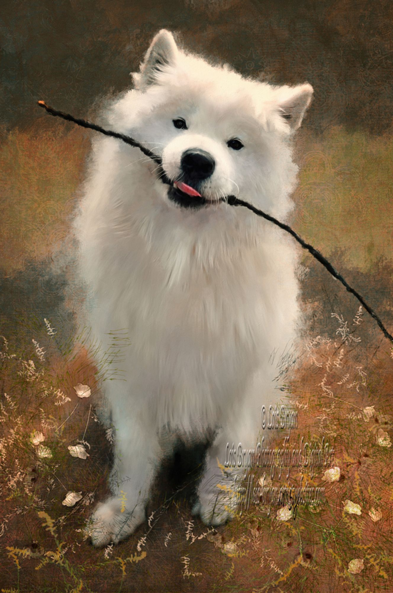 "Let's Play Fetch" DescriptionA big, fluffy white Samoyed dog proudly shows off his favorite new toy, a stick. https://lois-bryan.pixels.com/featured/lets-play-fetch-lois-bryan.html #art #gifts #dogs #samoyed #buyintoart #ayearforart #samoyeds #animals #LoisBryan #MeganBryan #animals