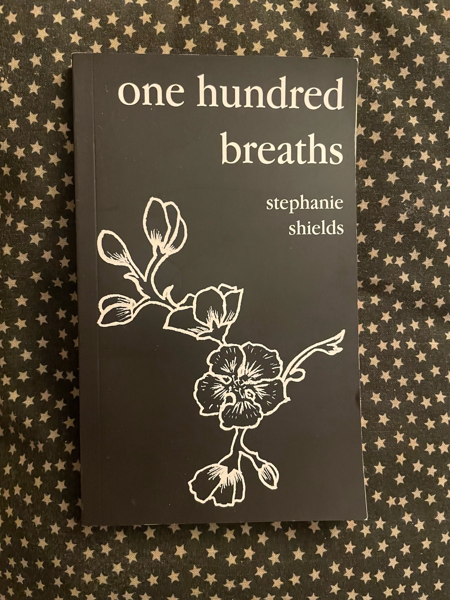 Photo. A copy of one hundred breaths on a starry background. The cover is black with white print.