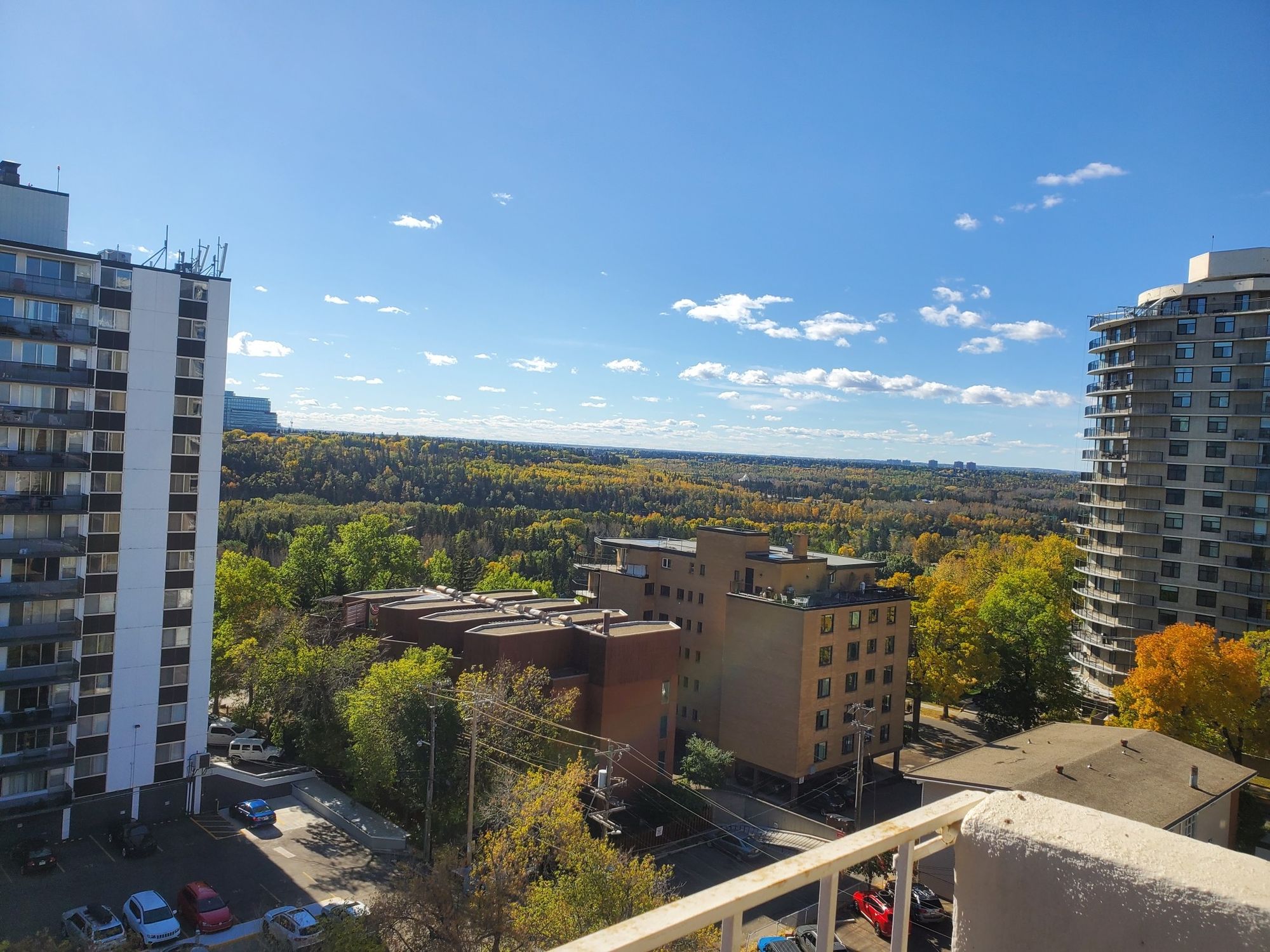 Edmonton's River Valley with many trees looking more yellow than green, deep blue sky above it all with a smattering of puffy white clouds