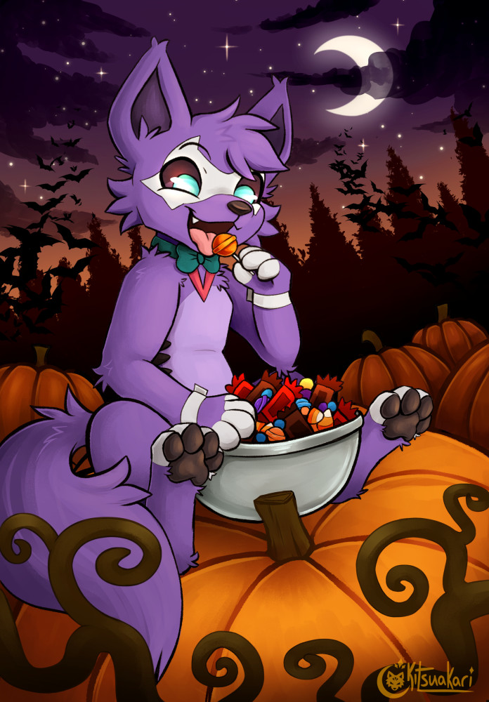 wolf sitting on pumpkin eating candy