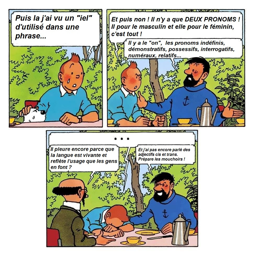 Extrait de 3 cases de BD de Tintin.

Case 1, Tintin en pleurs : "Puis là j'ai vu un "iel" d'utilisé dans une phrase...

Case 2, Tintin se reprend et l'on voit le capitaine Haddock : 

Tintin : "Et puis non ! Il n'y a que DEUX PRONOMS ! Il pour le masculin et elle pour le féminin, c'est tout !"
Haddock : "Il y a le "on", les pronoms indéfinis, démonstratifs, possessifs, interrogatifs, numéraux, relatifs..."

Case 3, Tinton en pleurs la tête dans ses bras, le Capitaine Haddock toujours à côté, souriant et Tournesol de l'autre côté.

Tintin : "..."
Tournesol : "Il pleure encore parce que la langue est vivante et reflète l'usage que les gens en font ?"
Haddock : "Et j'ai pas encore parlé des adjecticfs cis et trans. Prépare les mouchoirs !"