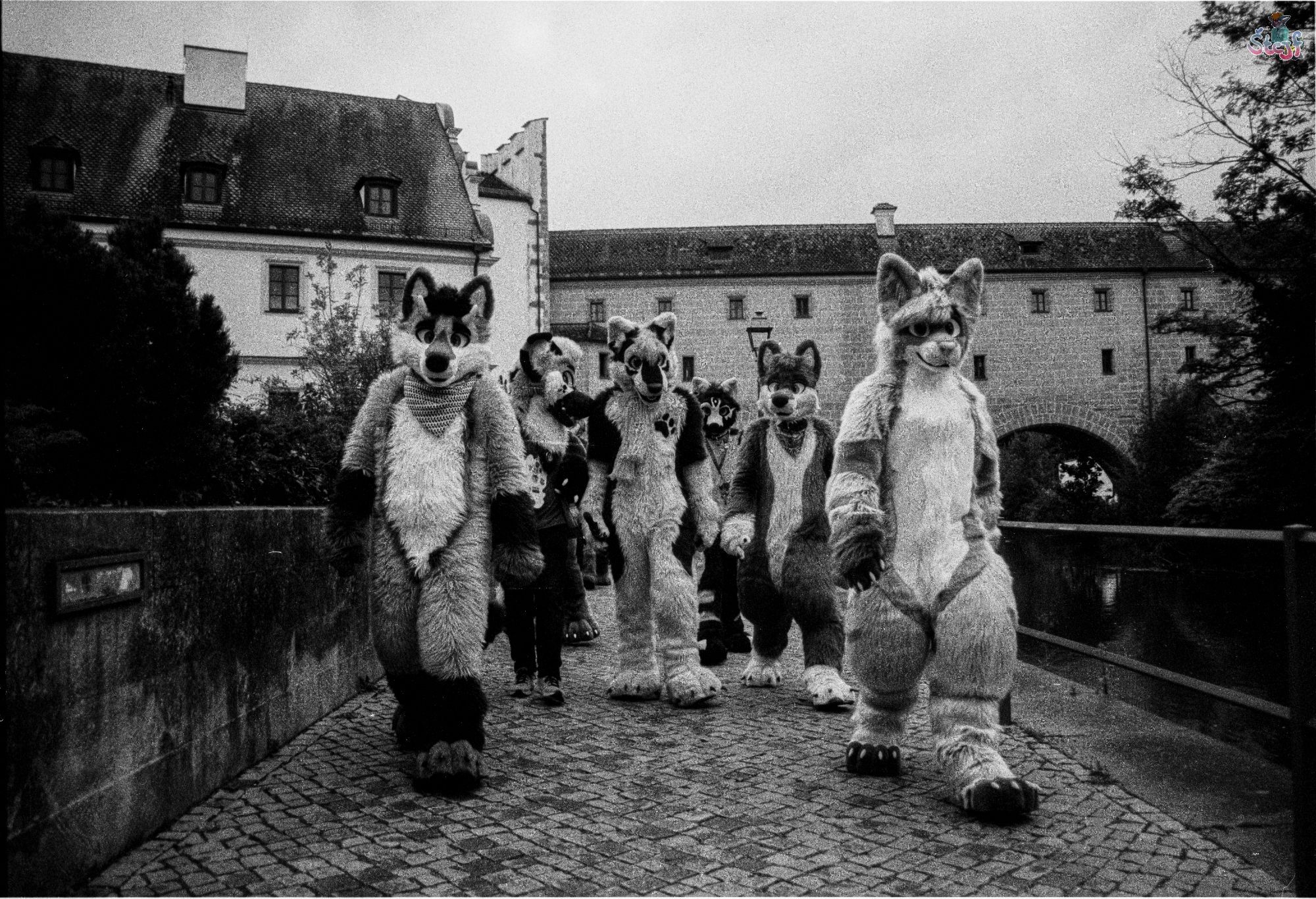 A picture of a group of Suiters on a Suitwalk in the city. They are walking along a cobblestone path.