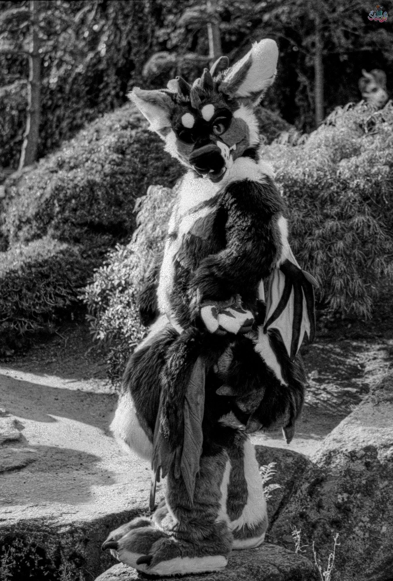 A suiter standing on some rocks, head turned looking at the viewer.