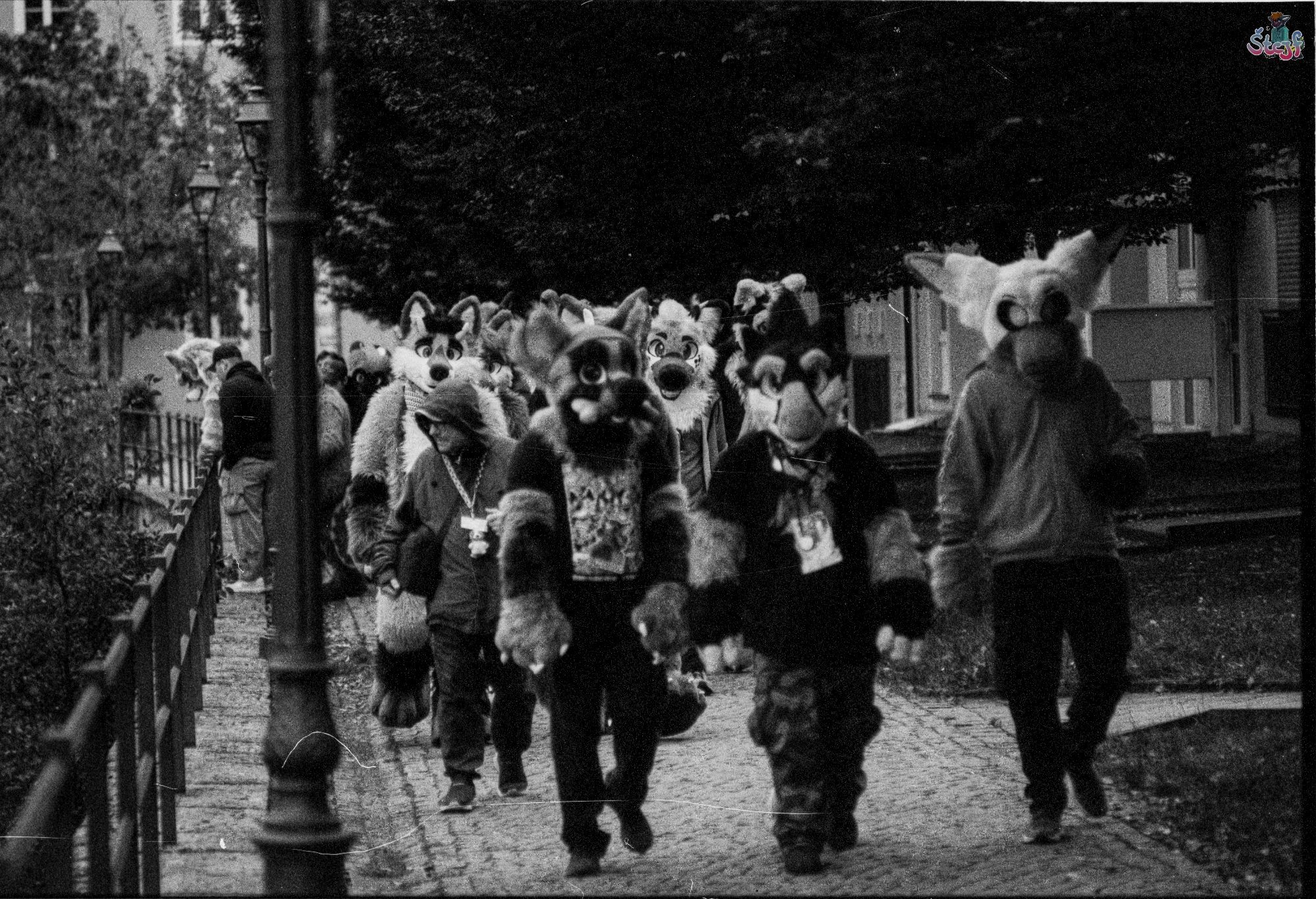 A picture of a group of Suiters on a Suitwalk in the city. They are walking along a cobblestone path.