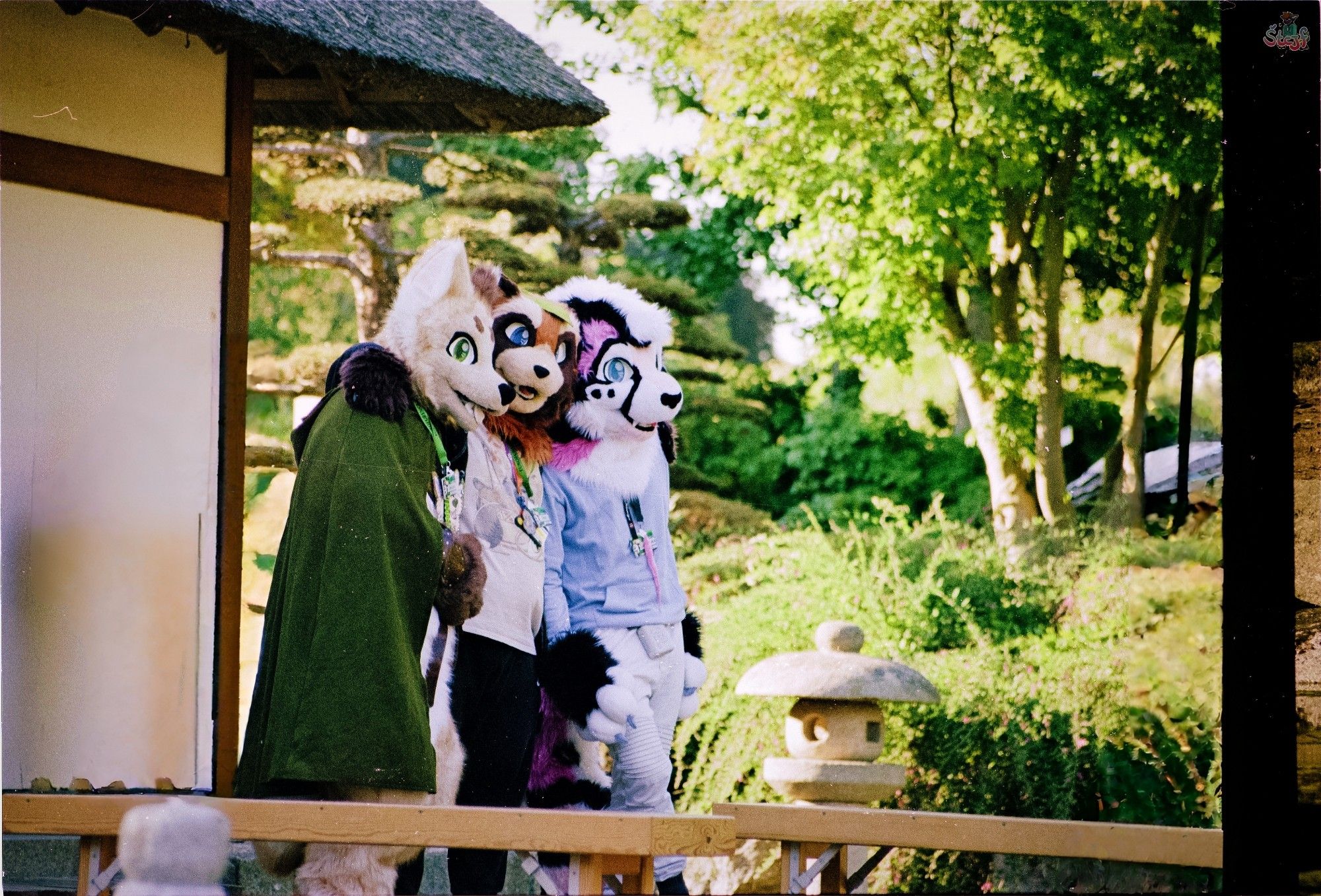 Three suiter on the terrace of the Japanese tree house.