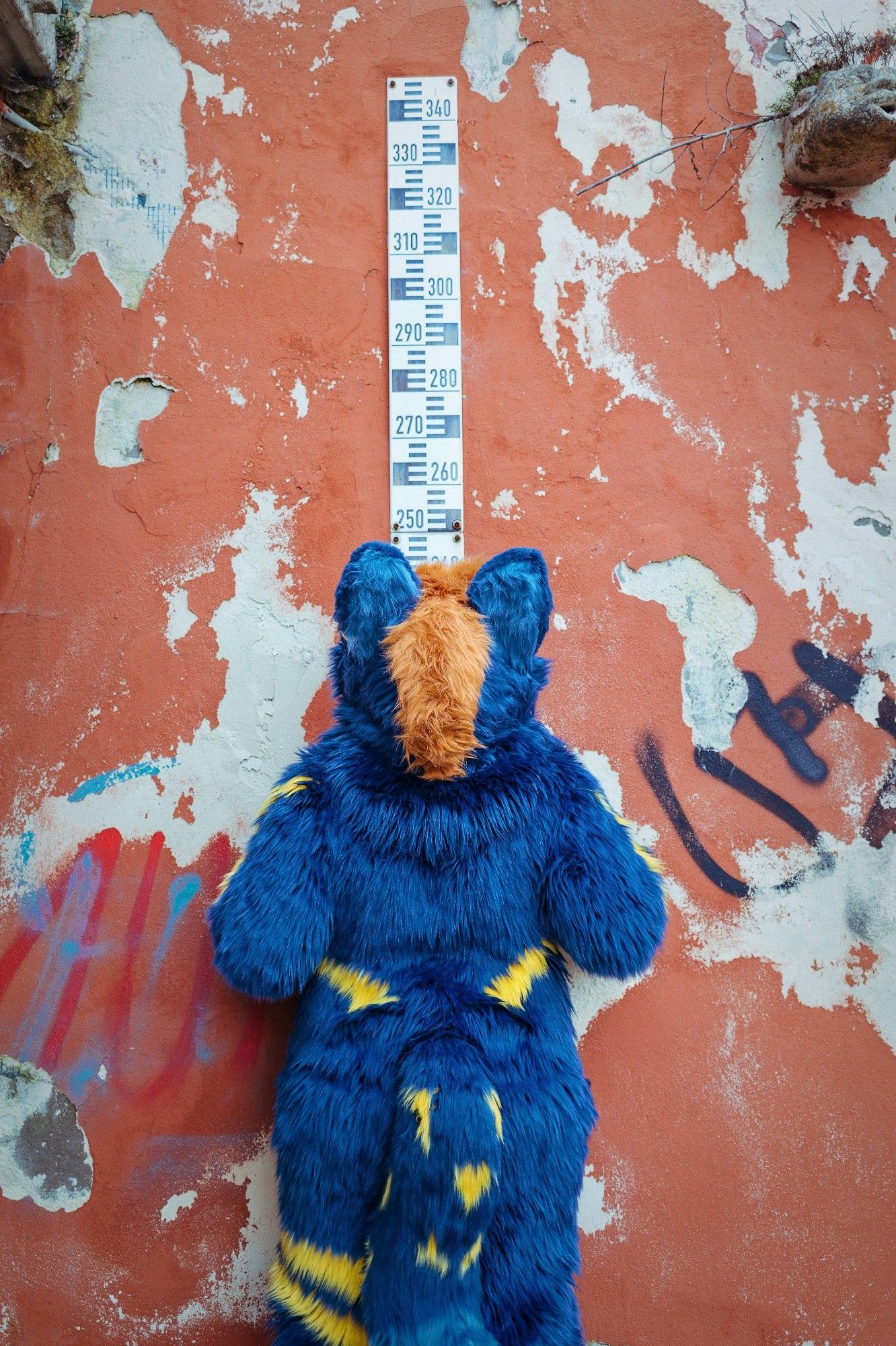 A picture of me in suit, standing with my back to the camera. I'm looking kinda up along a river level measuring "tape". The kind of which you'll find in cities along rivers to determine the normal or in this case abnormal level of the river.