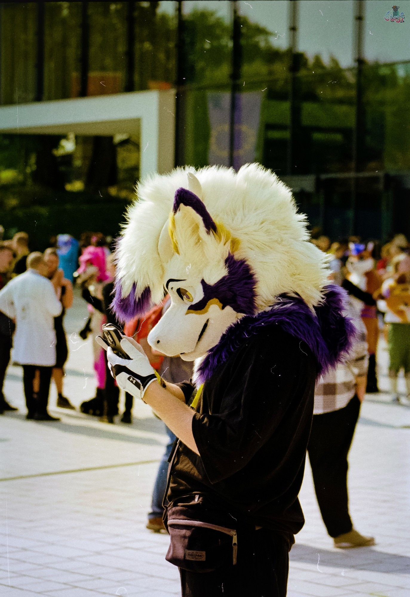 A partial Fursuiter seen from the side, checking his phone.