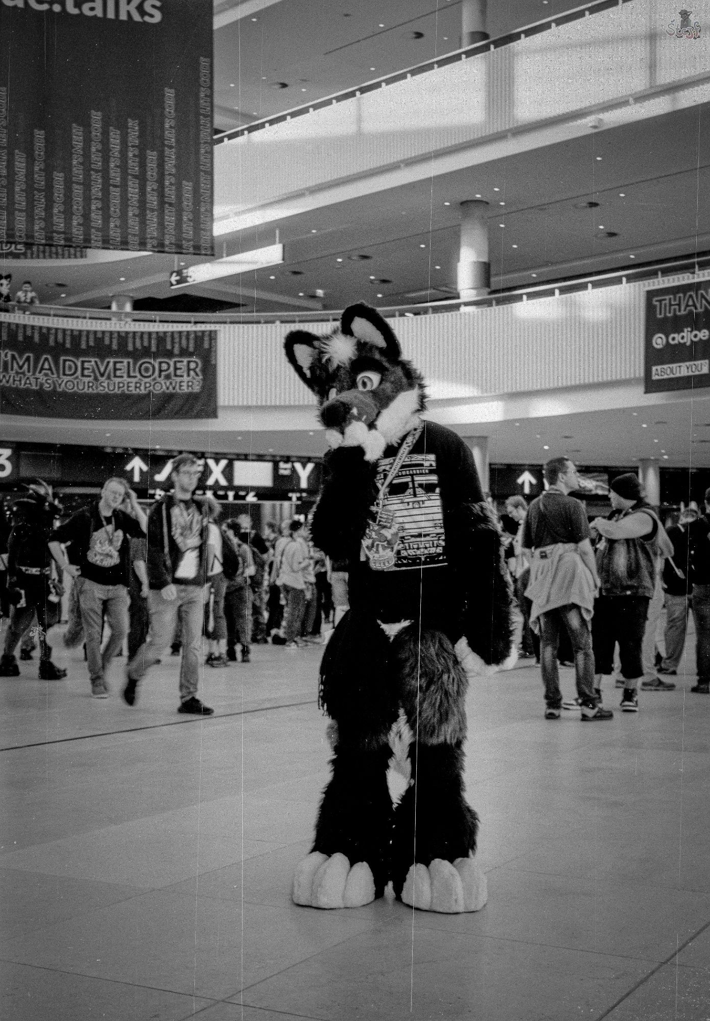 A Fursuiter, Creed, standing in the foyer of the CCH.