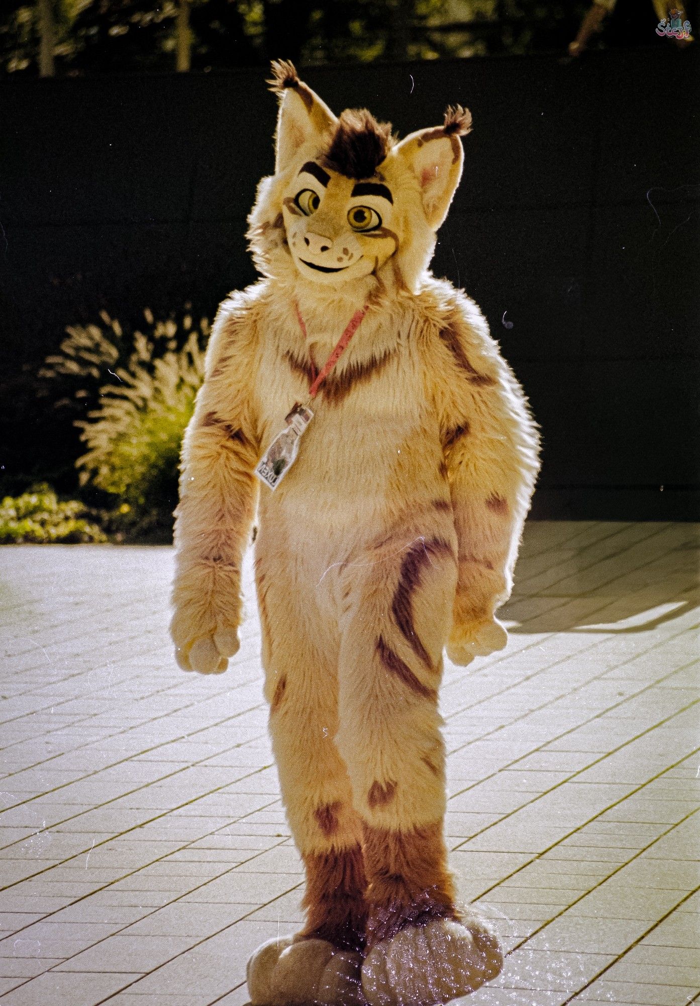 A suiter, Luxen, walking towards the viewer.