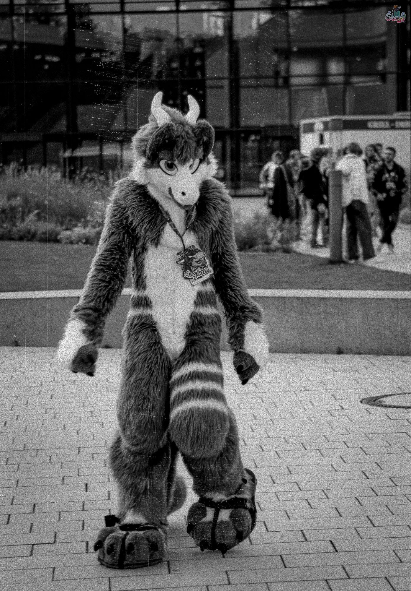 A Fursuiter walking towards the viewer.