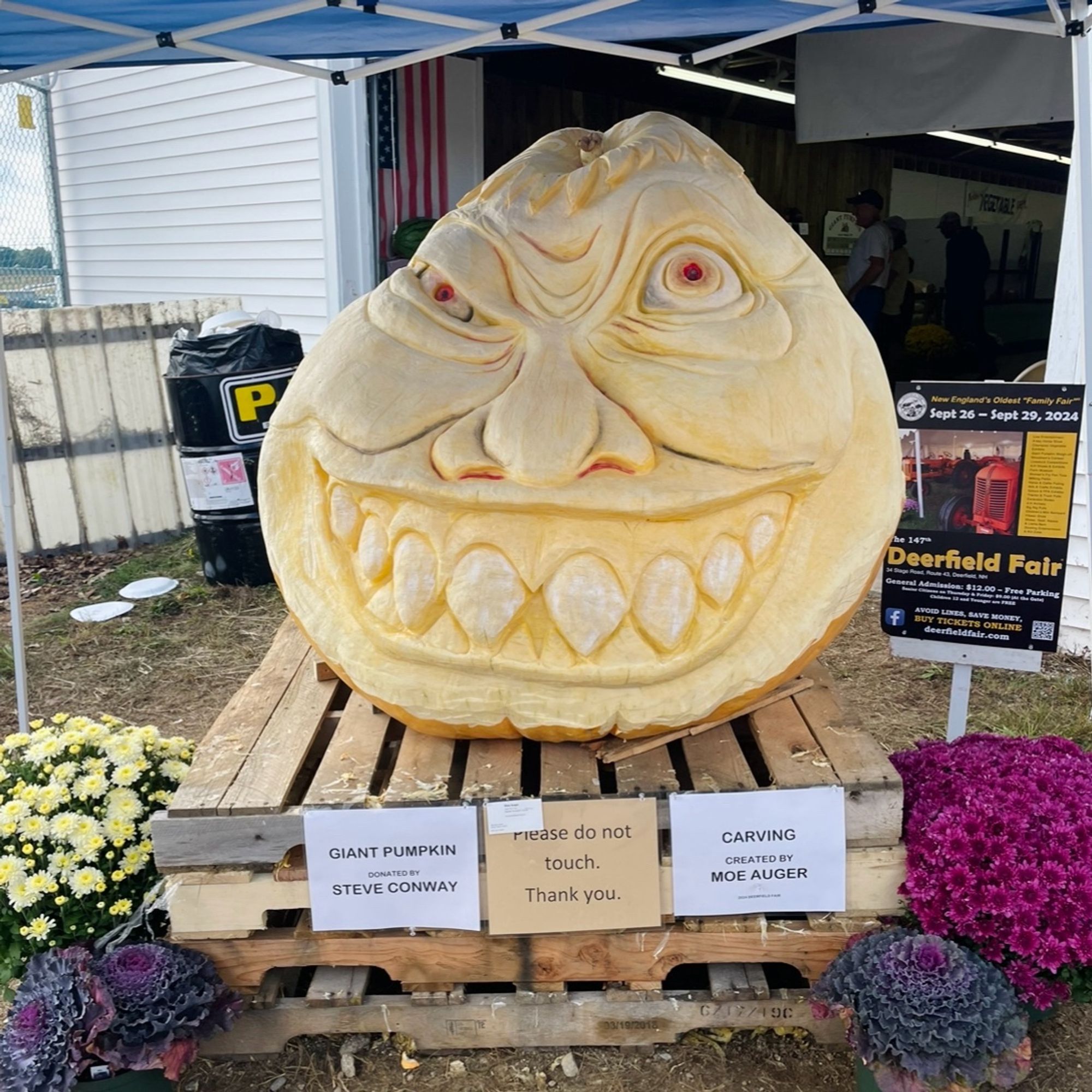 Giant pumpkin carved with a scary face