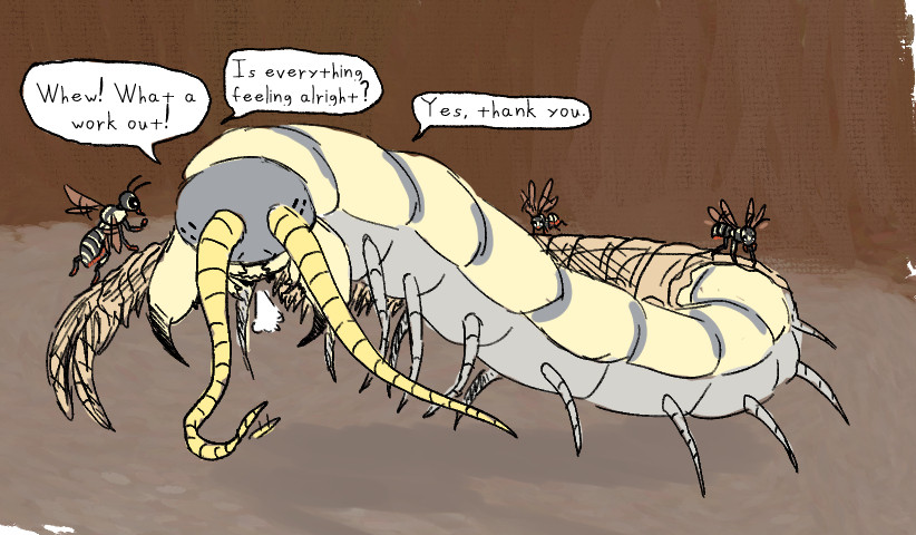 As for others...

Centipedes got very large thanks to compatibility with the Primordials’ powers, and tend to be essentially buses/trains for traveling between towns and Hives! Basically Centipede railways, and there's specific centipede stations for safe travel, its somewhat of a bumpy ride though. They’re also good at combating smaller Beasts!  This one of the designated chambers and helpers that assist in removing molts.