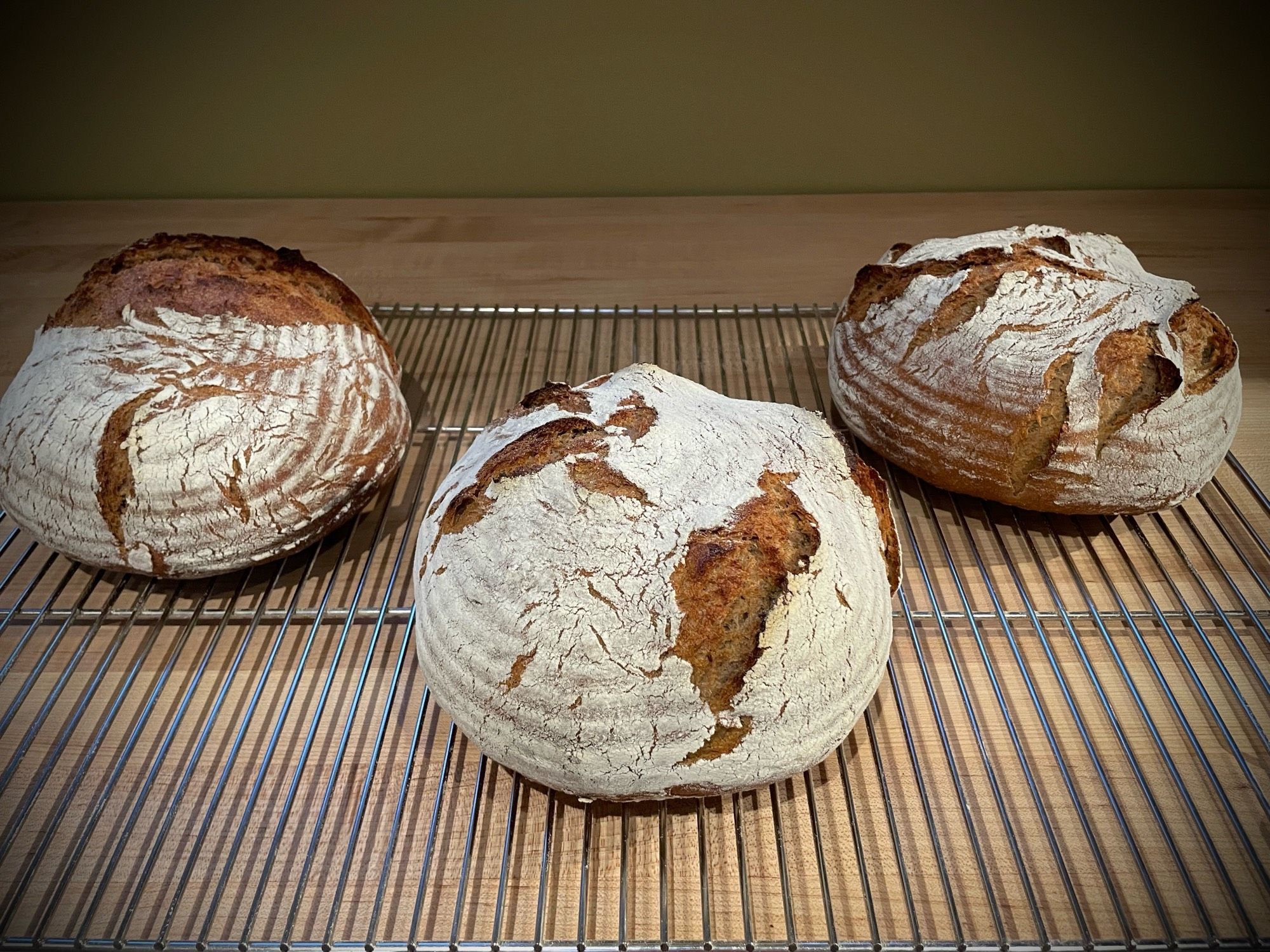 Three loaves of rustic rye bread that just came out of the oven.