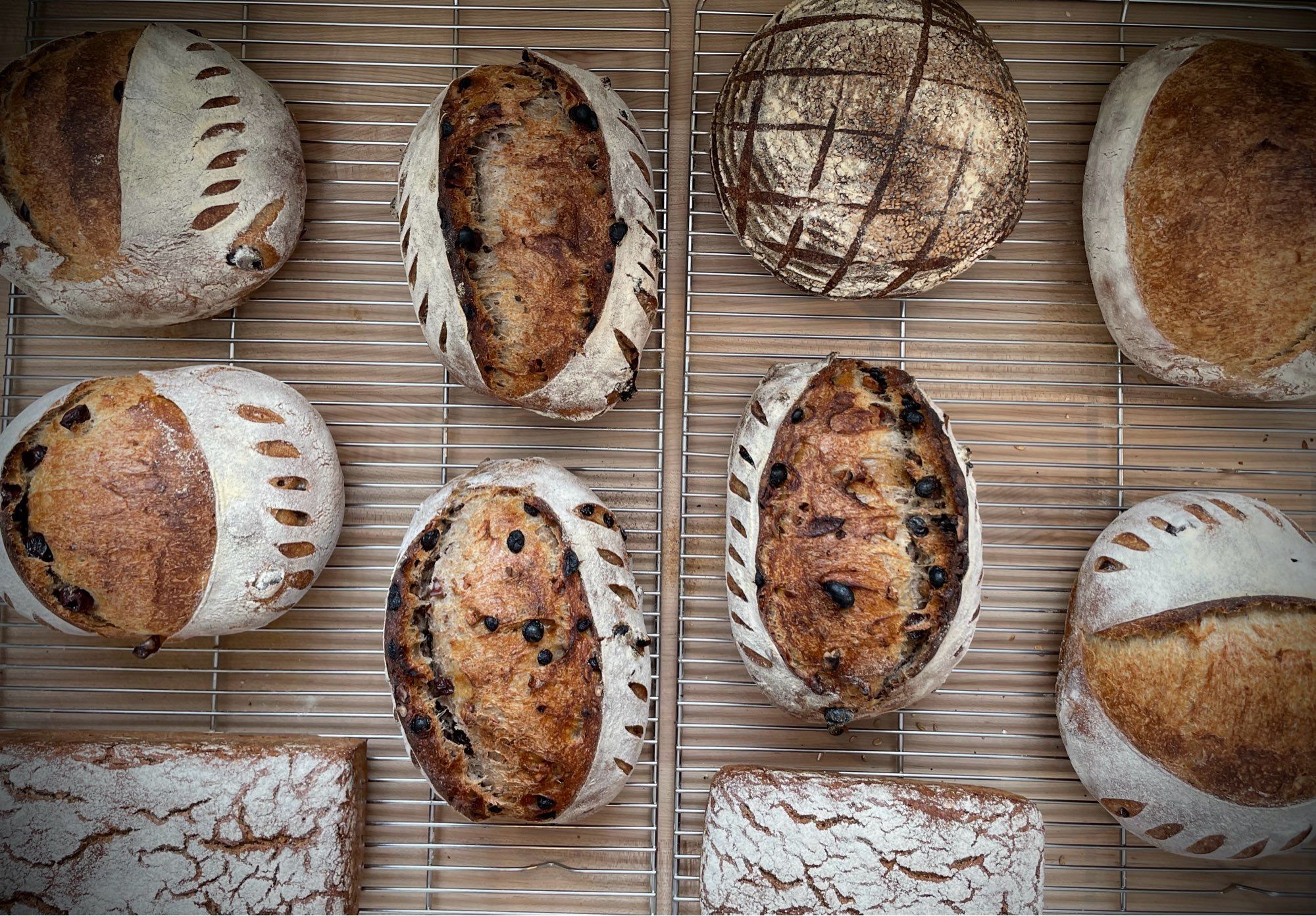 An assortment of sourdough and rye loaves from this morning’s bake.