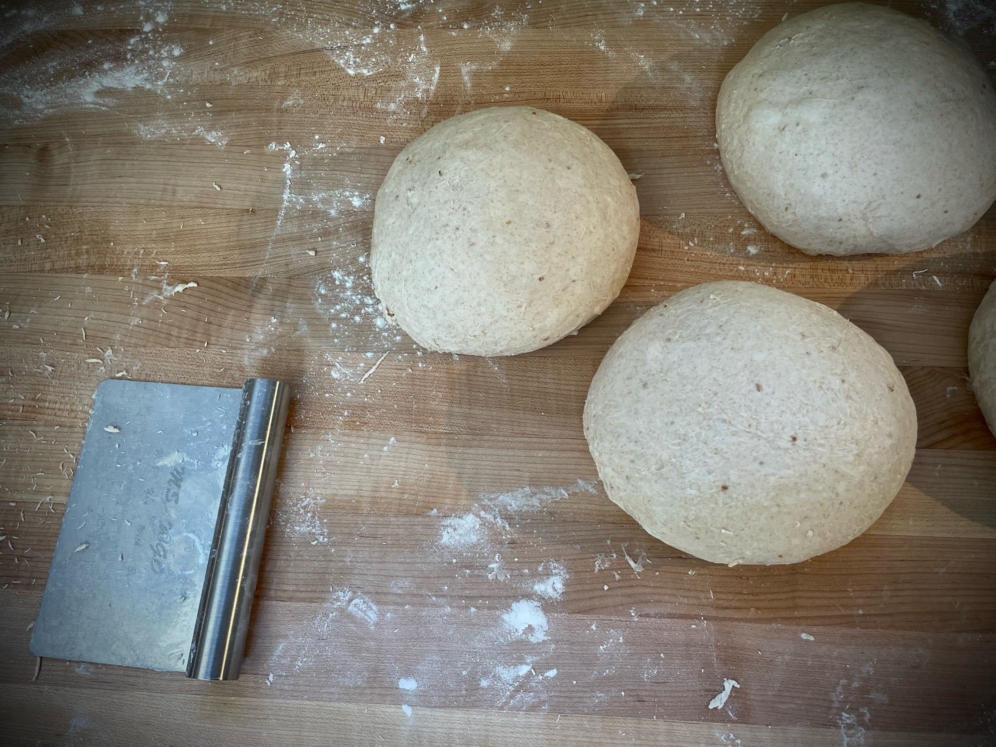 Shaped loaves of sourdough waiting to go into their baskets.