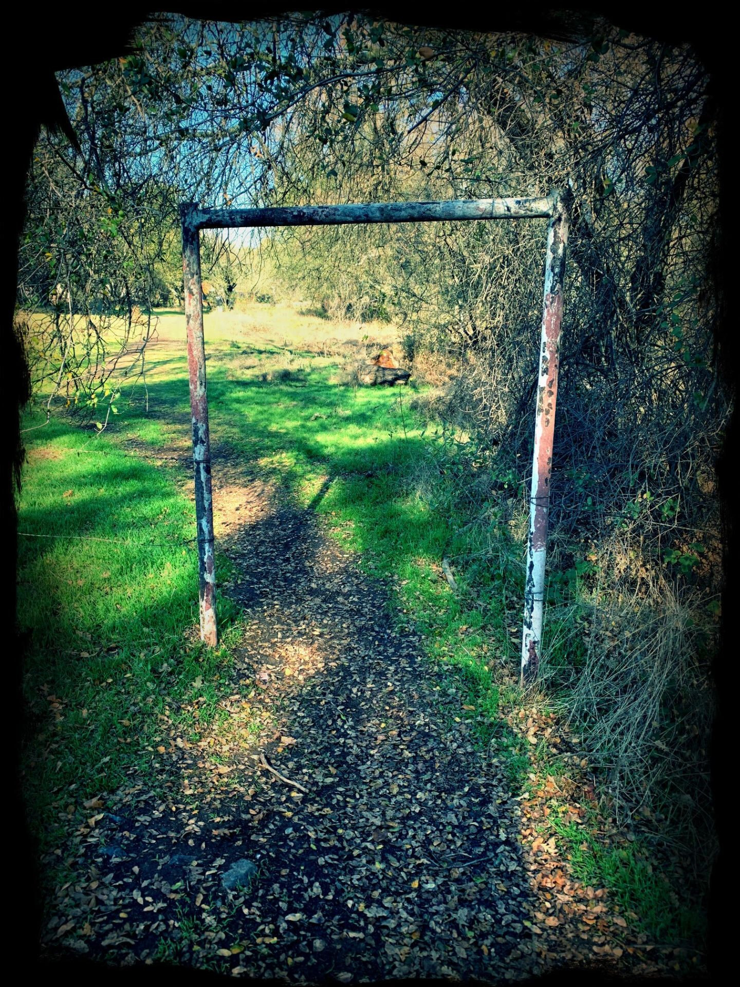 A door frame of rusted metal pipes leading to a brown dirt path covered in leaves between patches of bright green grass. tree trunks and tangled brambles are on the right side of the path