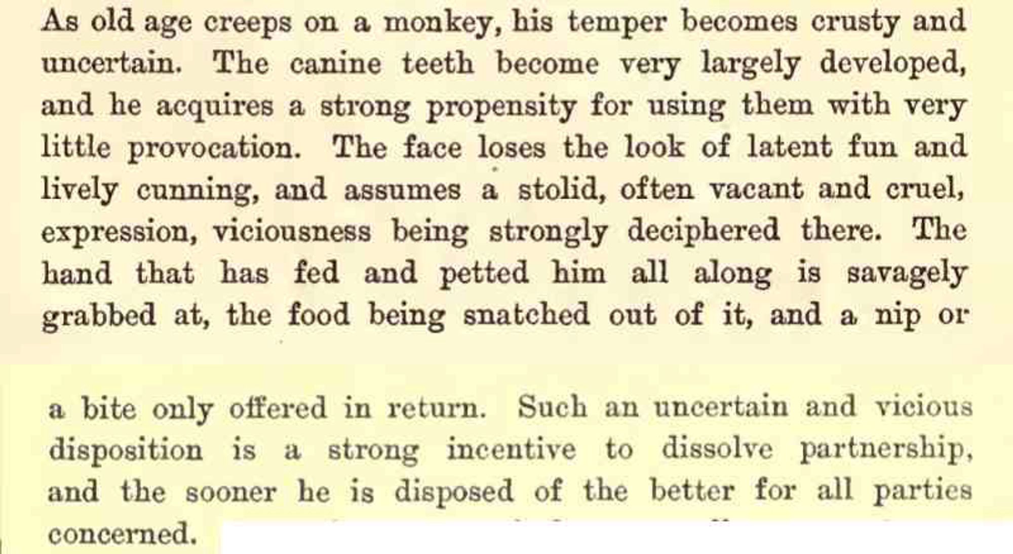 Text from the book: as old age creeps up on a monkey, his temper becomes crusty and uncertain. The canine teeth become very largely developed, and he acquires a strong propensity for using them with very little provocation.... The sooner he is disposed of the better for all parties concerned.