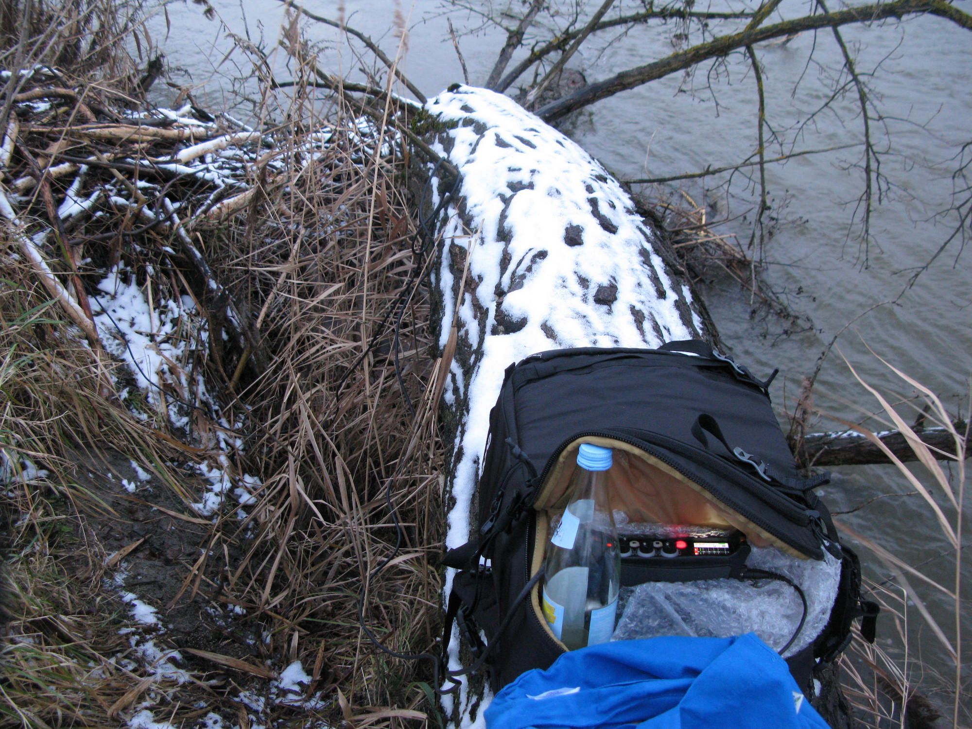 recording beavers at the danube in winter: a tall lodge in the background, with a big log lying on it. in the foreground: a bag with an audio recorder...