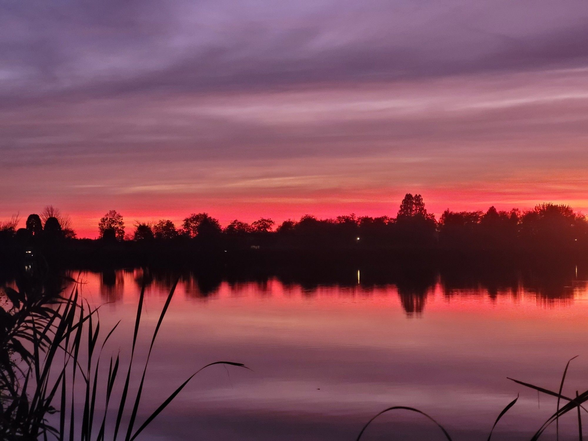 View across water at a line of dark trees at sunset. The sky above the trees are a neon pink & move to to a lilac grey. All of it perfectly reflected in the still water.