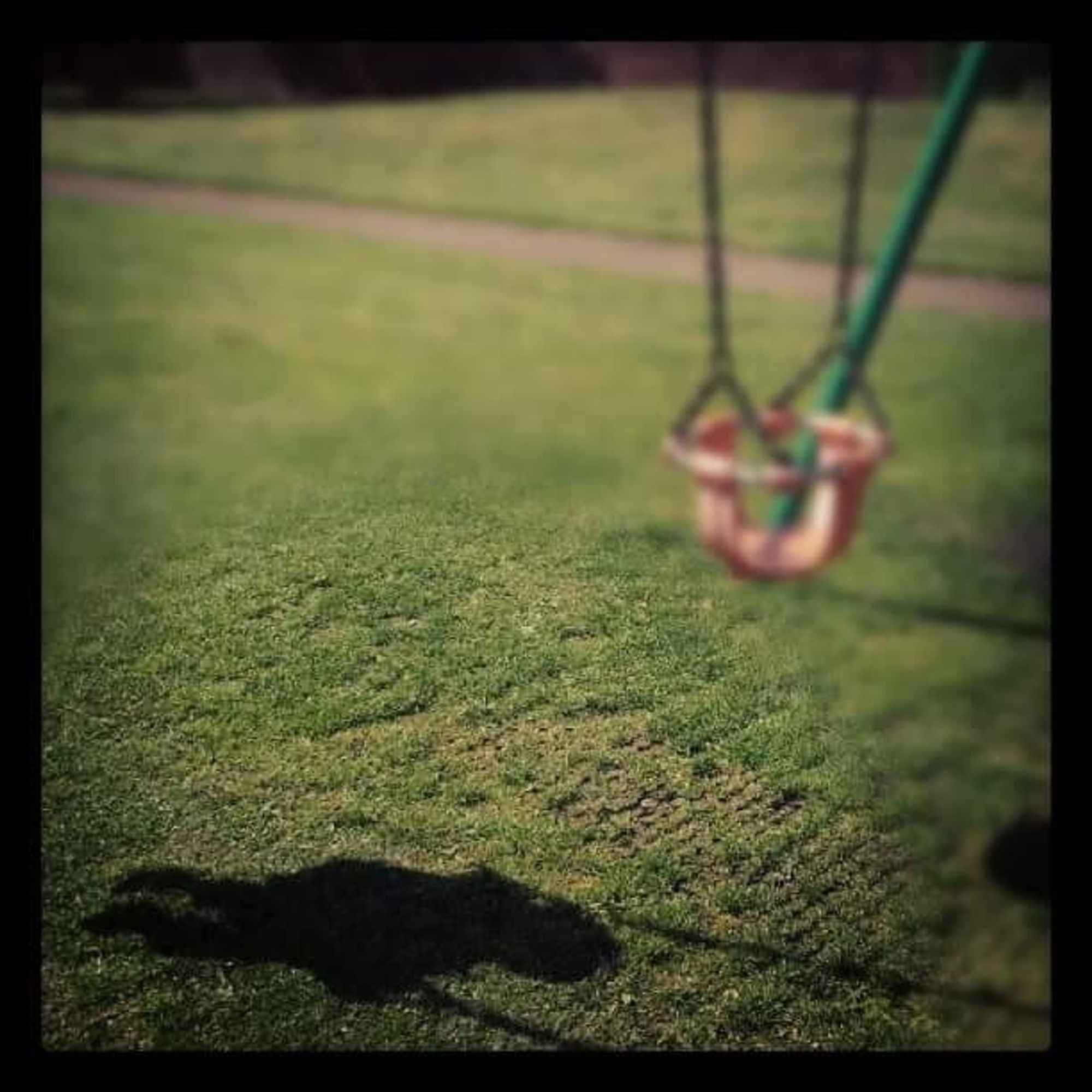 Photograph of swings. An empty swing hangs, out of focus, and in the space next to it, the shadow of a child in the other swing