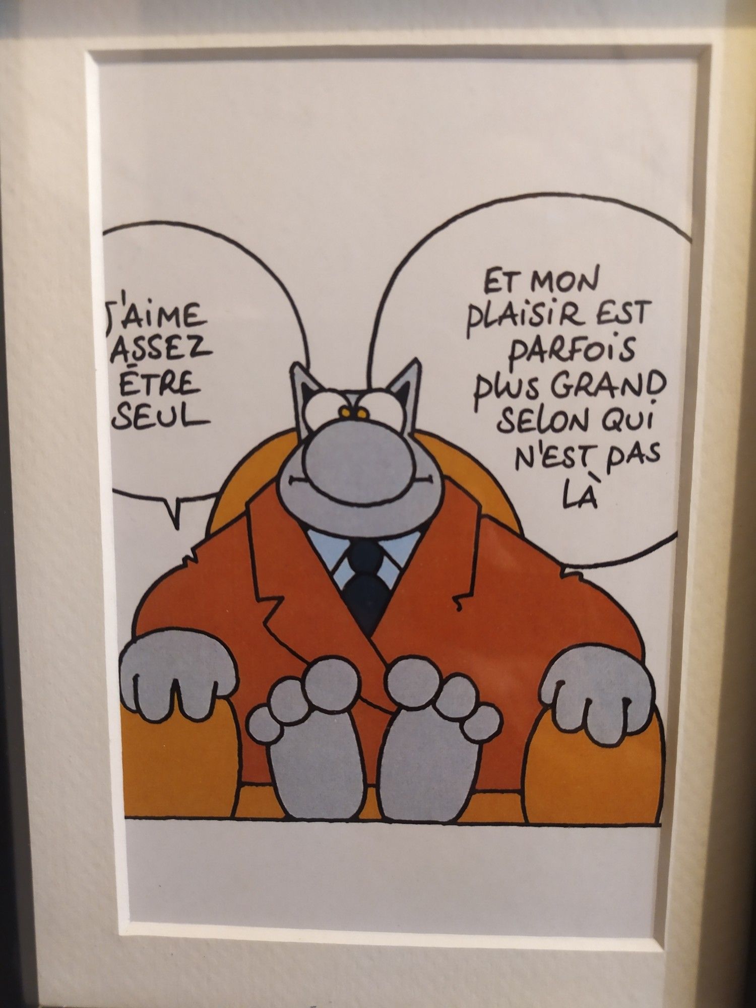 Le chat.
"J'aime assez être seul.
Et le plaisir est parfois plus grand selon qui n'est pas là"