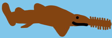 A crudely drawn sawfish.