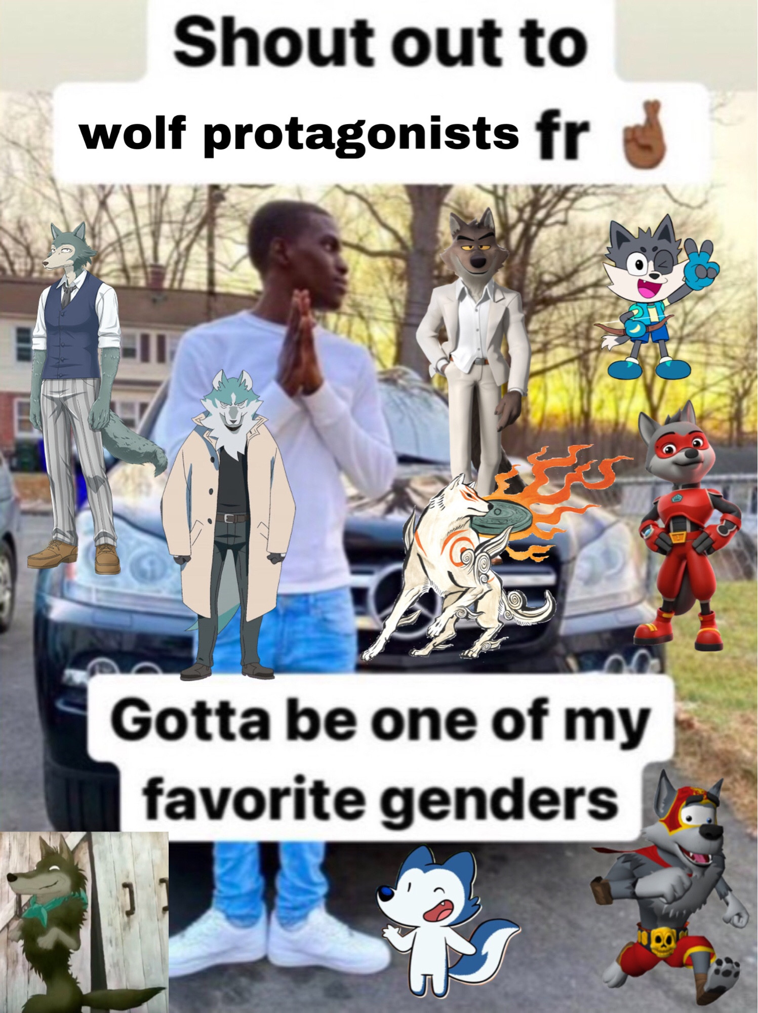 A man posing in front of a car with his hands folded in front of him, with on-screen captions saying "Shout out to wolf protagonists fr 🤞🏾 / Gotta be one of my favorite genders"

The wolves in the picture, from top to bottom:
Legoshi (Beastars)
Mr. Wolf (The Bad Guys)
Trickshot (Trick Moon)
Shirou Ogami (BNA/Brand New Animal)
Luka (Kingdom Force)
Amaterasu (Ōkami)
Mutt (Lobodestroyo)
Gabu (Arashi No Yoru Ni/One Stormy Night)
Lupin (Lupin's Tales)