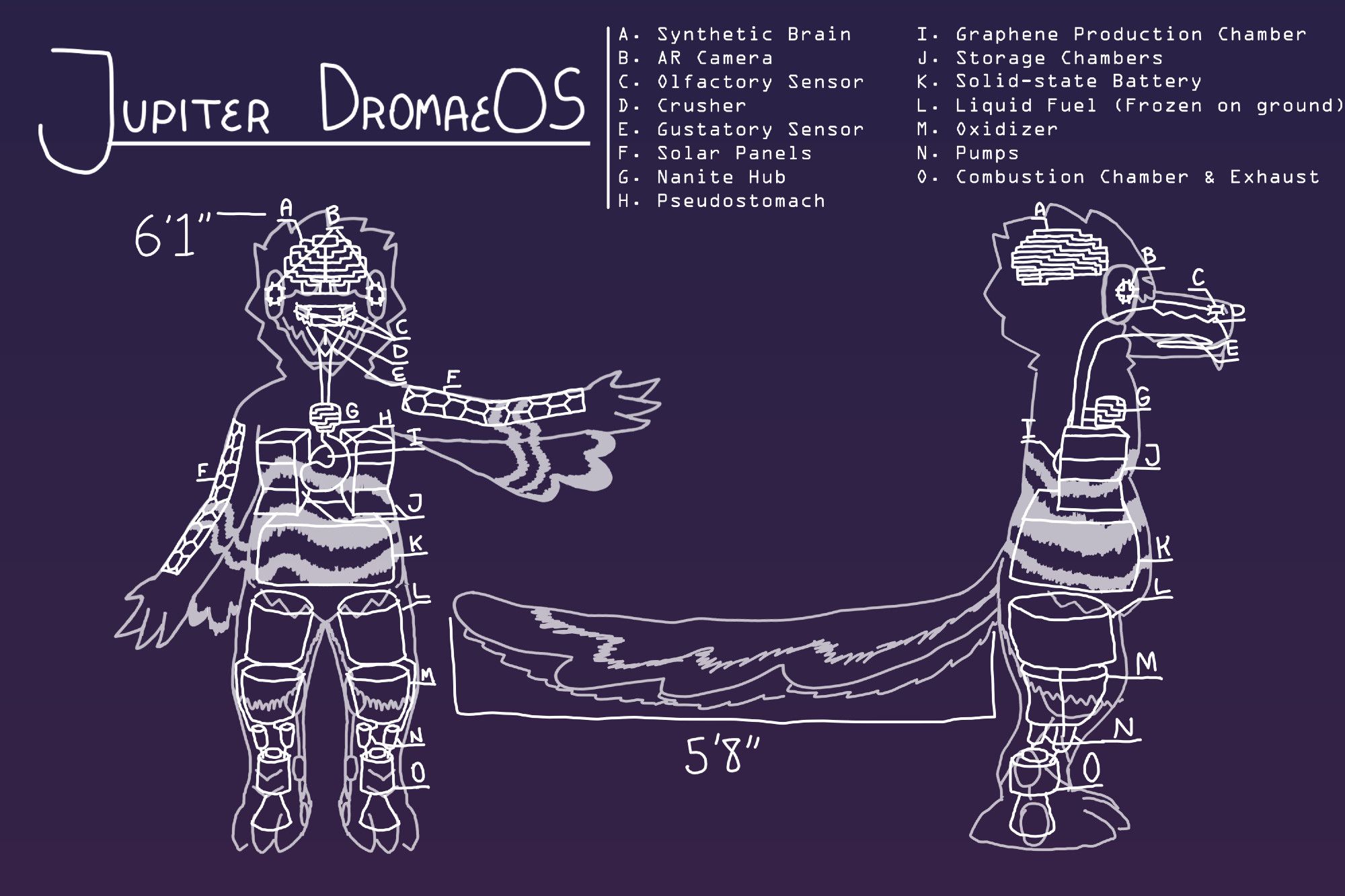 A diagram of Jupiter DromaeOS's various mechanical parts. Notable features include a crushing mechanism in the roof of the mouth, storage compartments where lungs would be in a biological humanoid, a graphene production chamber connected to the stomach equivalent, and rocket engines taking up the majority of the legs.