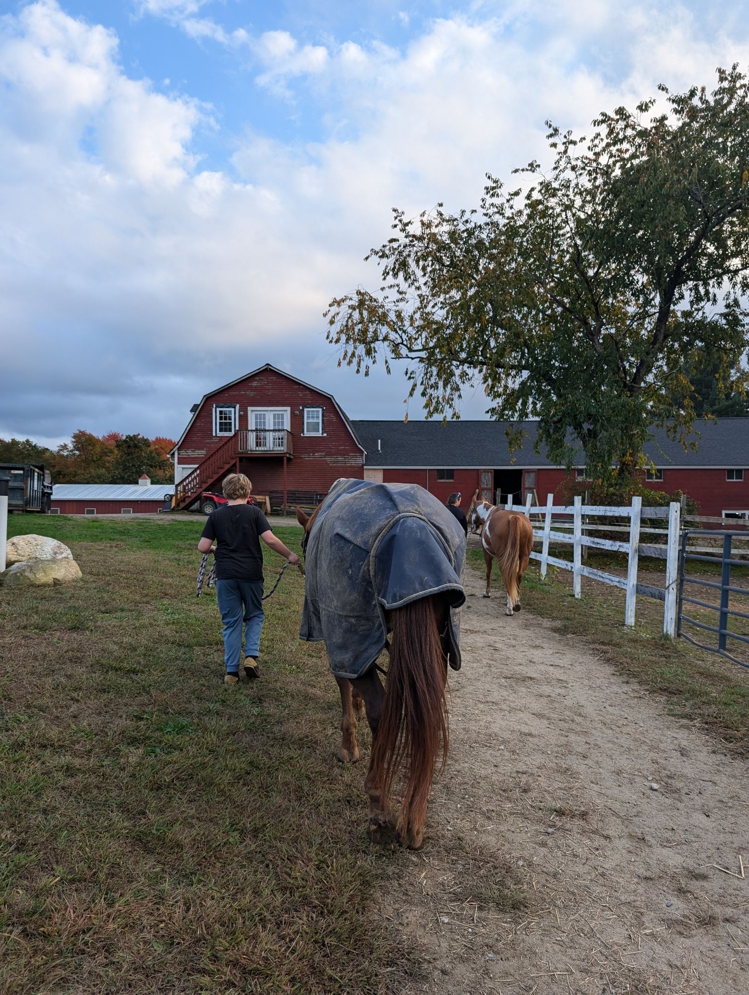 A kid leading a pony away from the viewer toward a big red barn