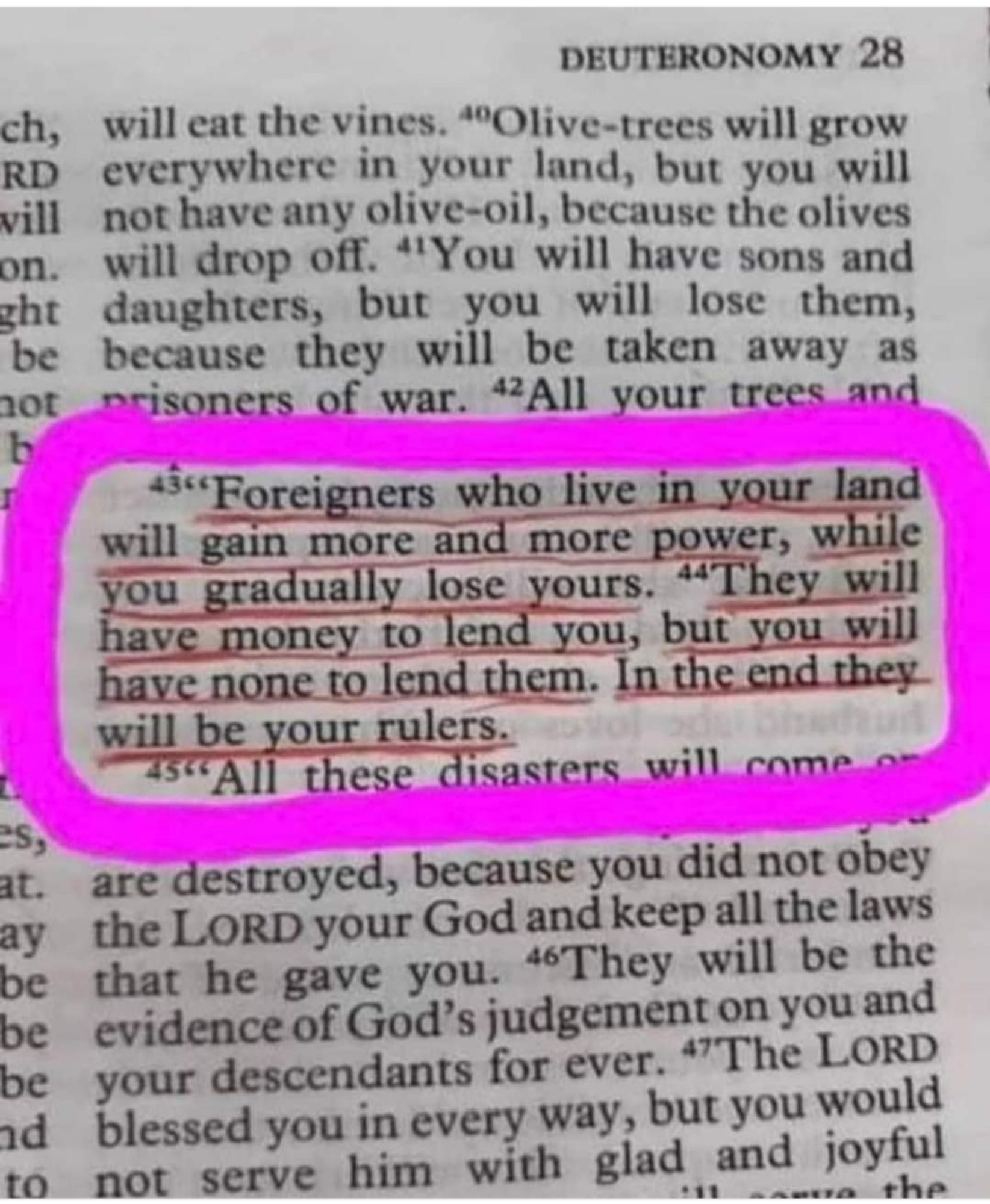 A screenshot of a Bible highlighting Deuteronomy 28:43 which to paraphrase says that foreigners will come in and take everything from you and eventually rule over you.