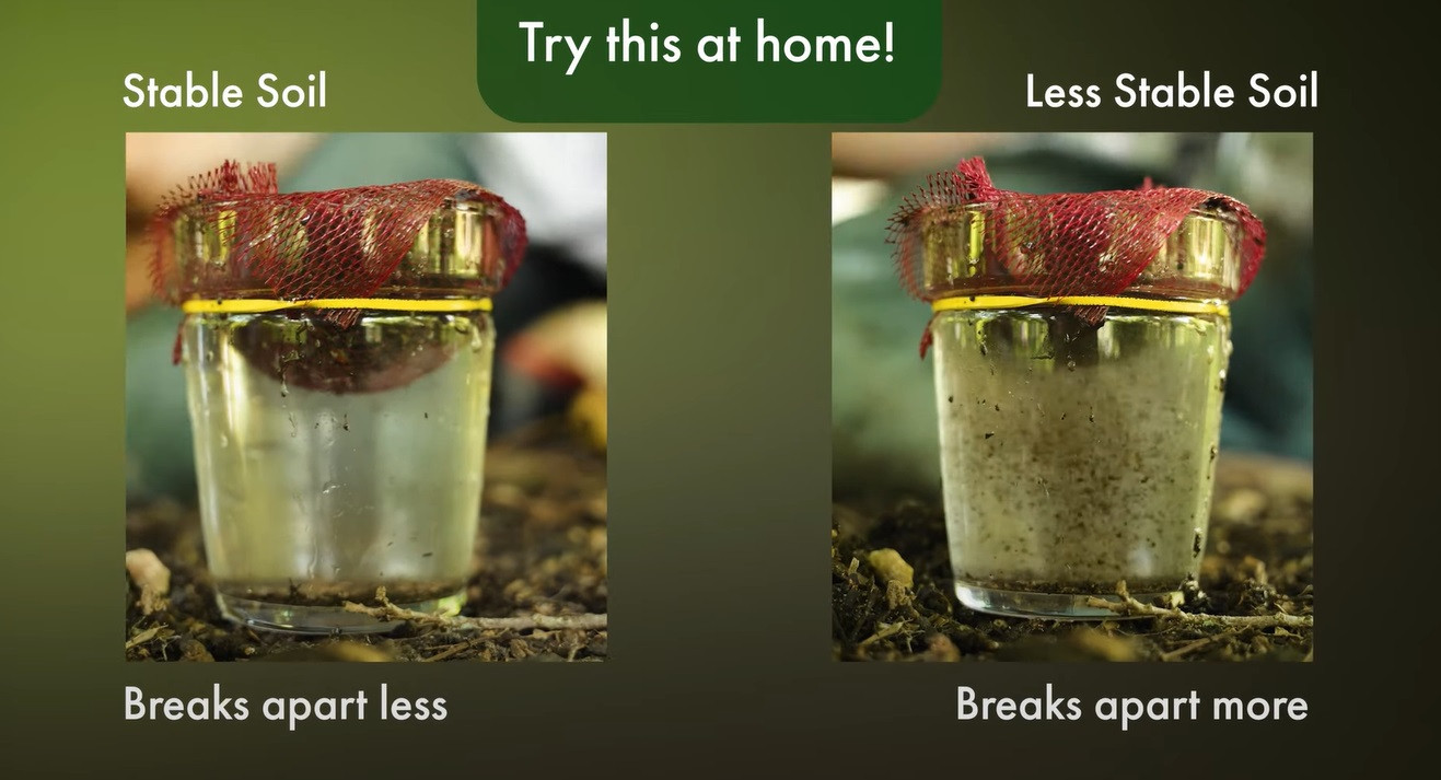 A header of 'try this at home' with two images glasses full of soily water, with an elastic band holding a net over the top of the glasses. one is captioned: Stable soil, the other Less stable soil