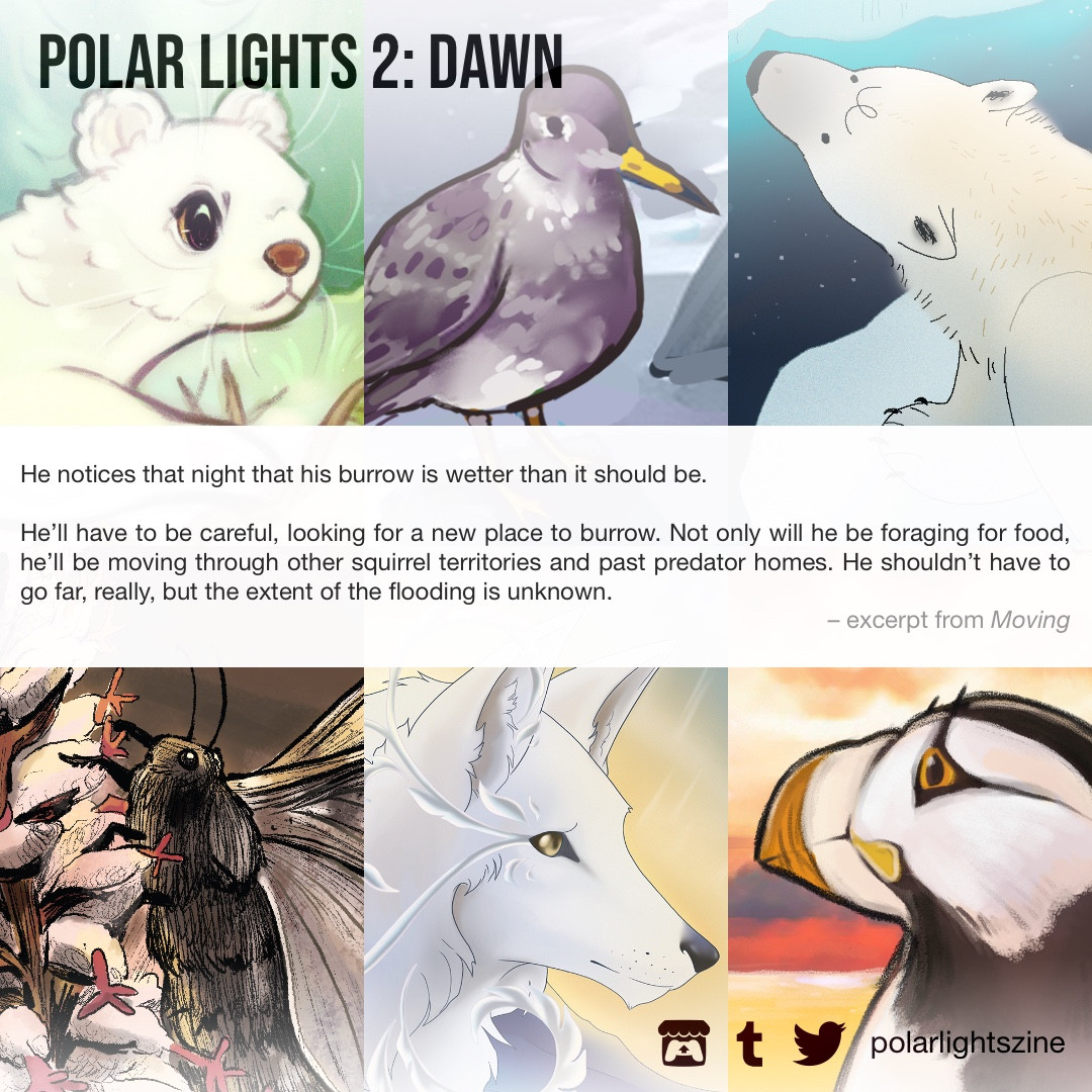 Previews from the PDF collection. At the top left is the title Polar Lights 2: Dawn. Art crops include a stoat in winter coat, purple sandpiper, polar bear, Arctic wooly bear moth, Arctic wolf, and horned puffin. On the bottom right are the Itch.io, Tumblr, and Twitter logos followed by "polarlightszine". A writing snippet intersecting the middle reads:

He notices that night that his burrow is wetter than it should be.

He'll have to be careful, looking for a new place to burrow. Not only will he be foraging for food, he'll be moving through other squirrel territories and past predator homes. He shouldn't have to go far, really, but the extent of the flooding is unknown. - excerpt from Moving