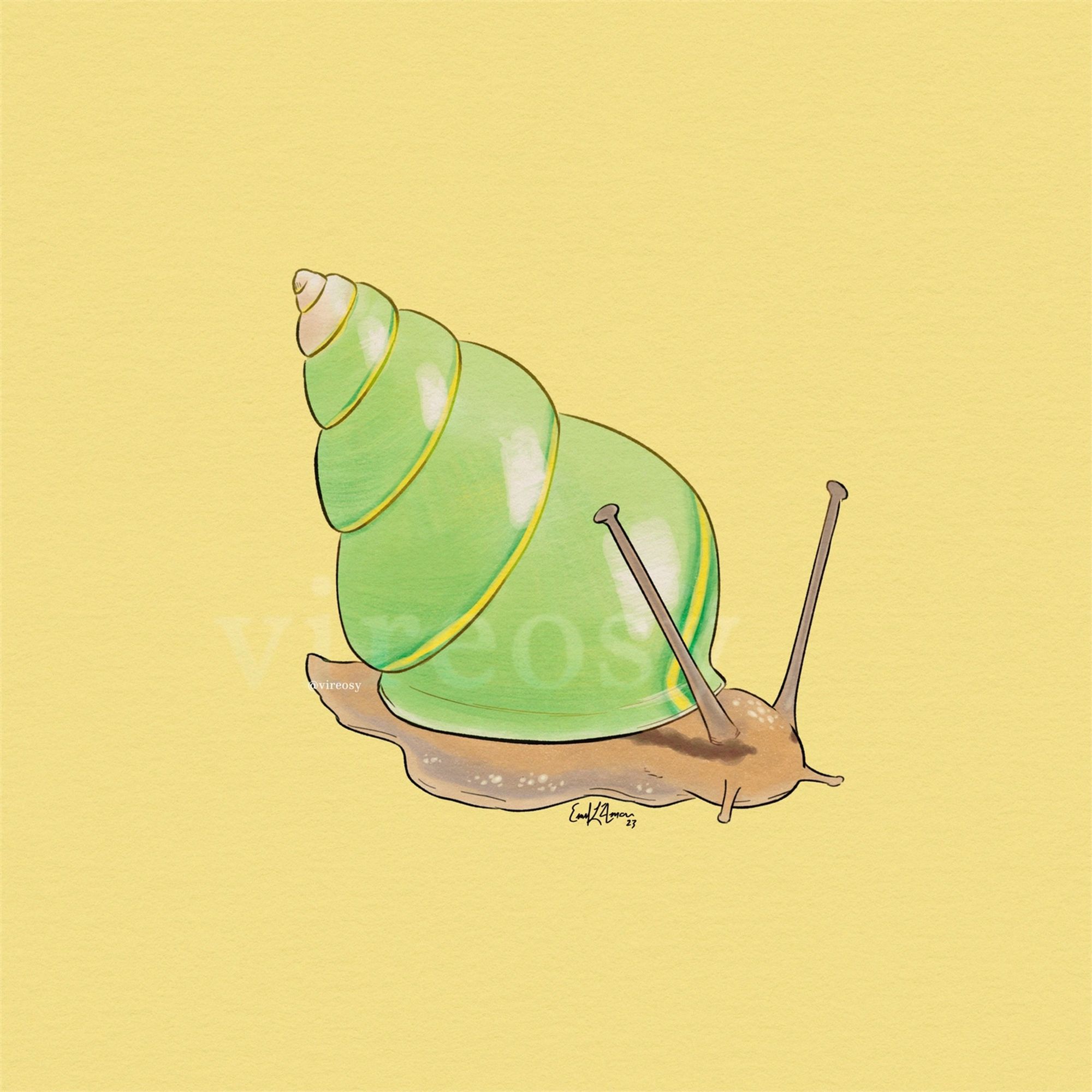 Drawing of an emerald green snail on a flat pale yellow background. Its striking green shell has a single yellow stripe spiraling along it.