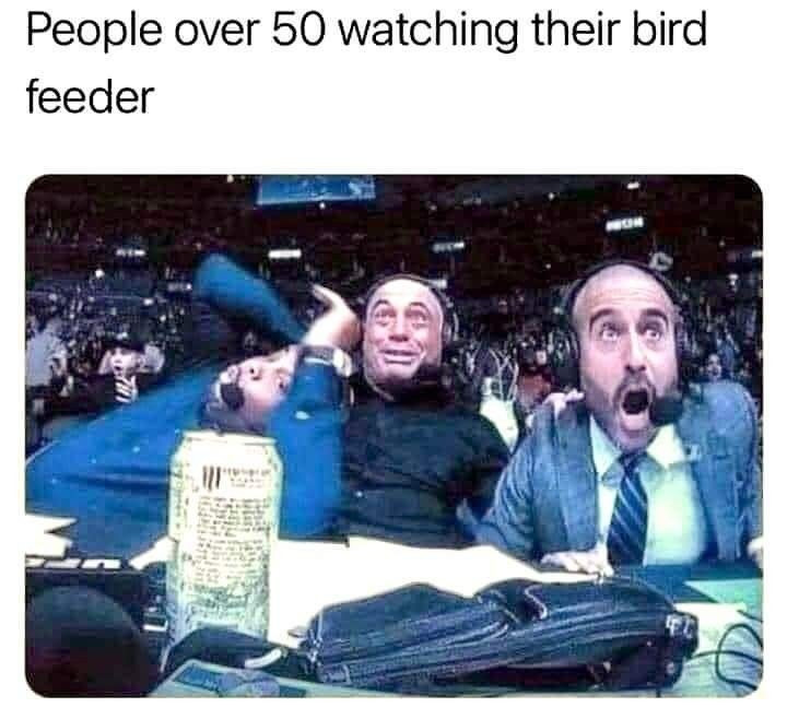 People over 50 watching their bird feeder.

Pic is of a couple of sports commentators wearing headphones looking extremely excited 