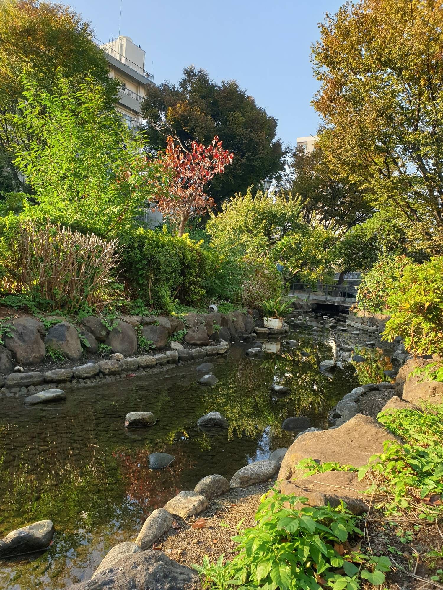 A small river in the oyokogawa Shinsui Park in Sumida, tokyo