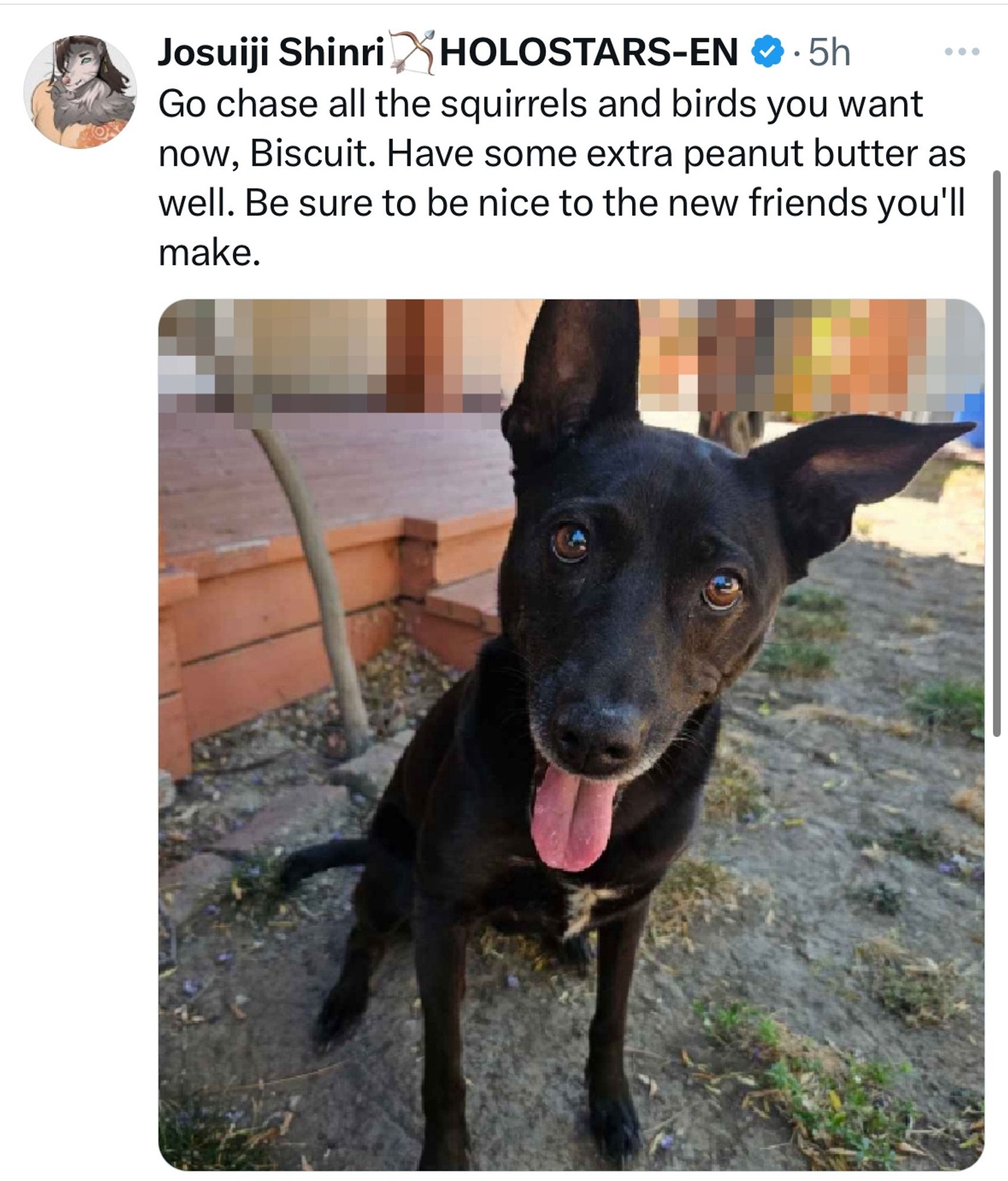 Josuiji Shinri tweet screen shot that says: 

Go chase all the squirrels and birds you want now, Biscuit. Have some extra peanut butter as well. Be sure to be nice to the new friends you'll make.
Photo of Biscut, a black dog below