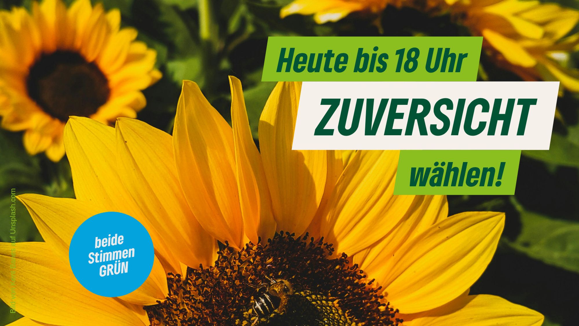 Heute bis 18 Uhr ZUVERSICHT wählen!
beide Stimmen GRÜN
Hintergrund: Foto von Sonnenblumen, auf der ganz vorn sitzt eine Biene.
Foto via Unsplash.com von Kent Banes.