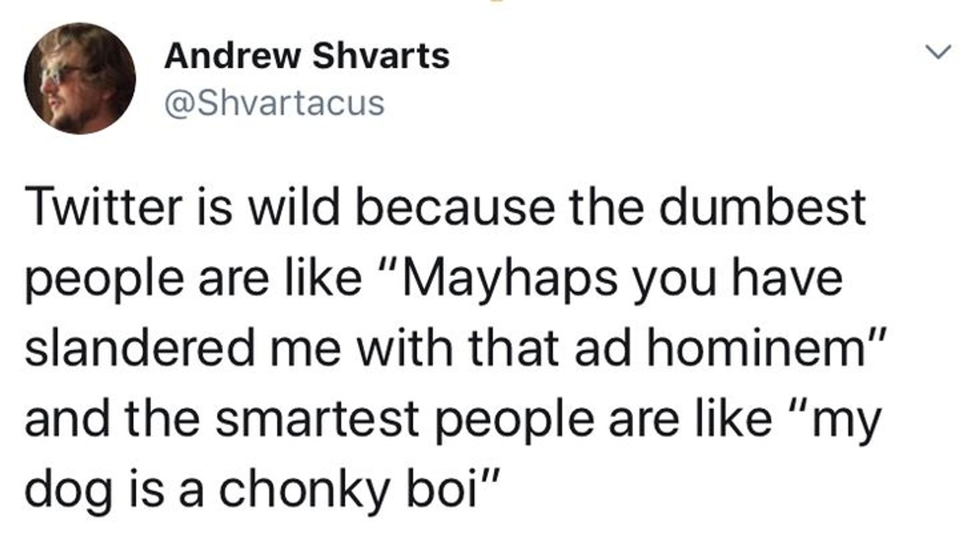 A tweet from Andrew Shvarts (@shvartacus) reading, "Twitter is wild because the dumbest people are like 'Mayhaps you have slandered me with that ad hominem' and the smartest people are like 'my dog is a chonky boi'".