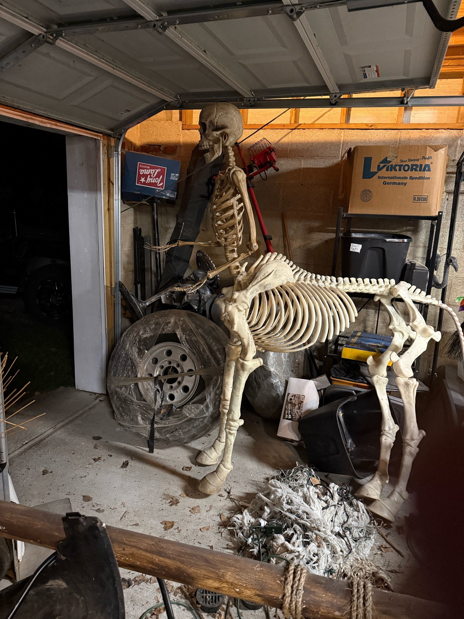 WIP of a centaur skeleton. 