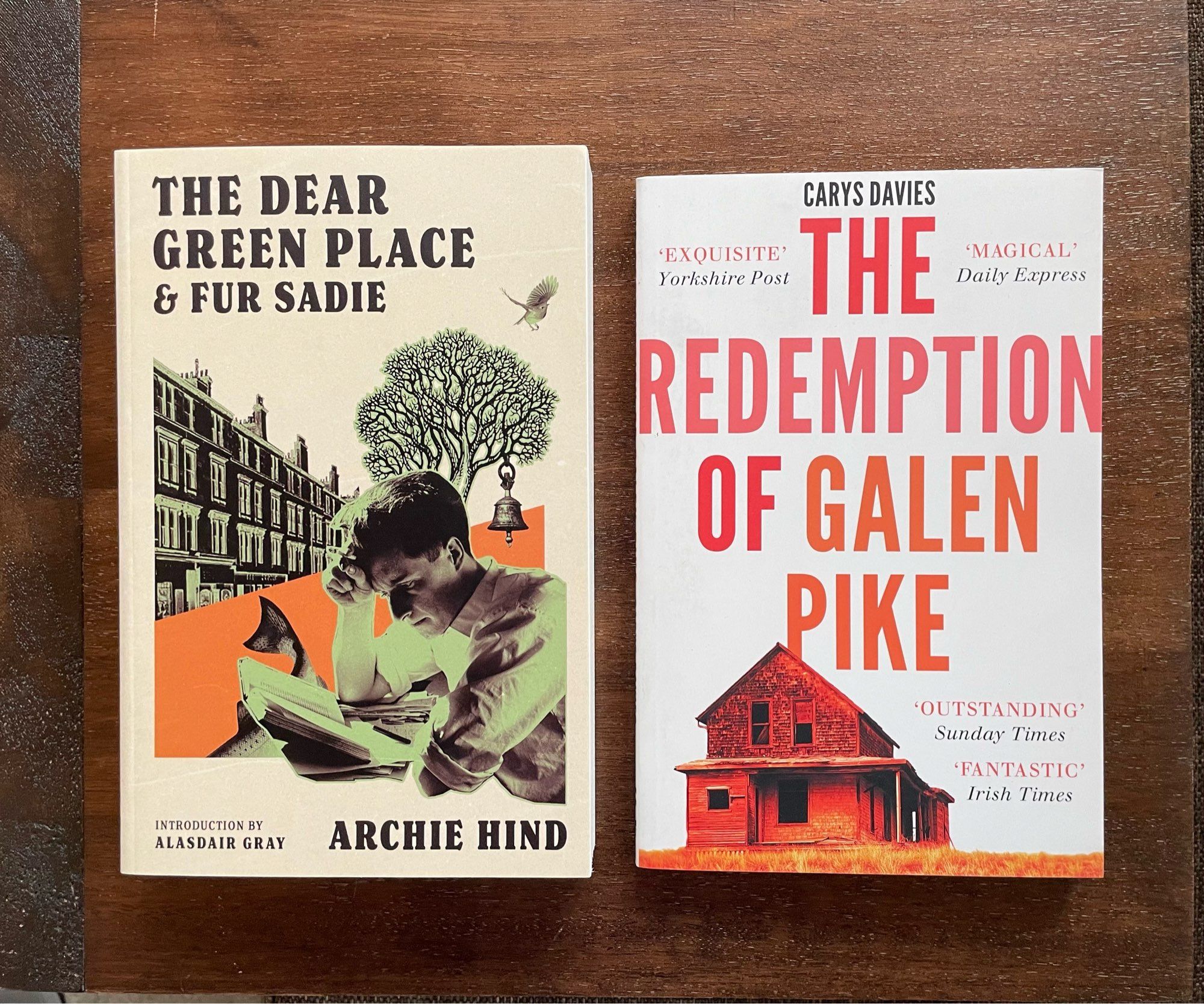 Covers of The Dear Green Place by Archie Hind and The Redemption of Galen Pike by Carys Davies.