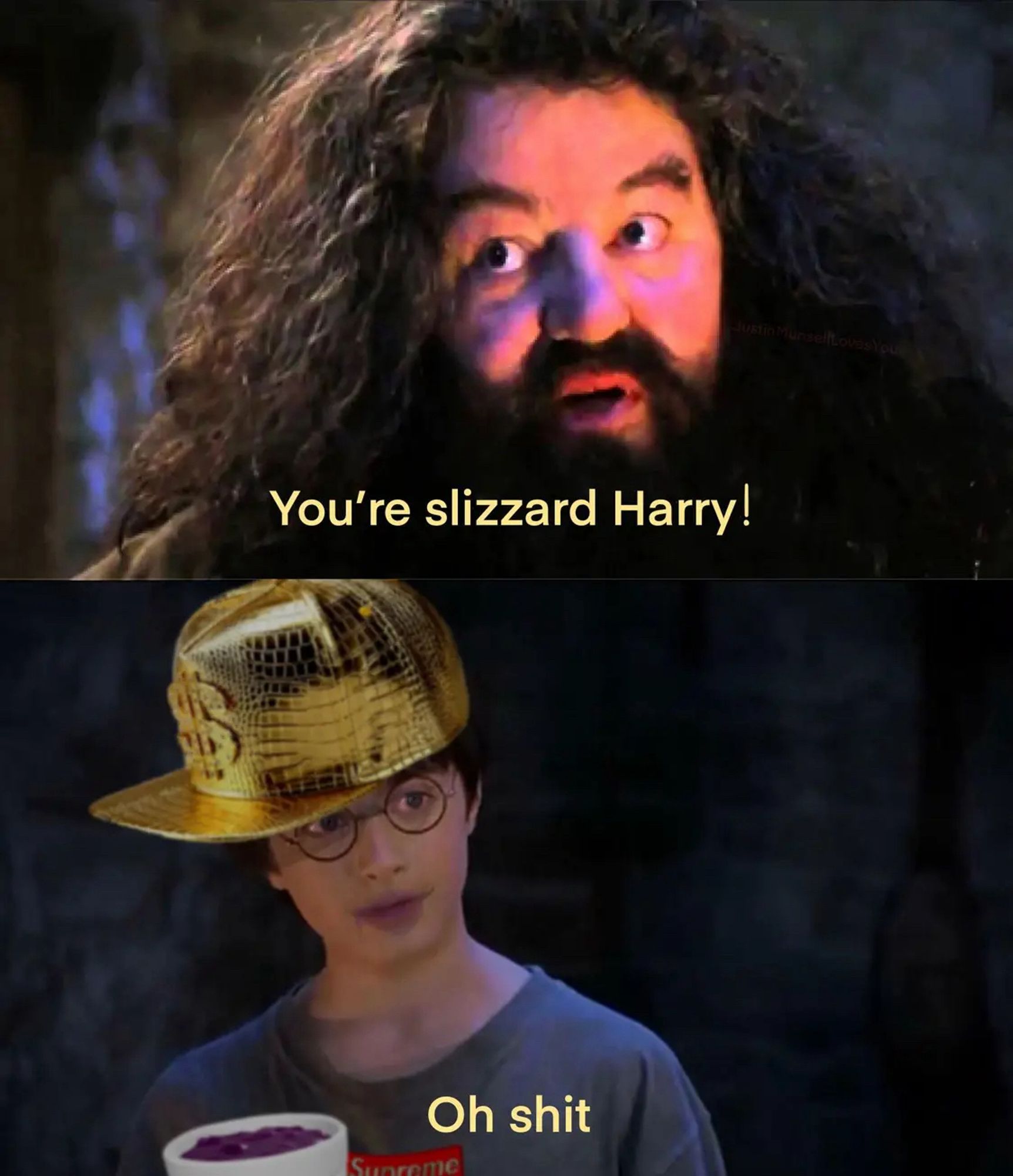 Hagrid 
“You're slizzard Harry!”
Harry
“Oh shit”