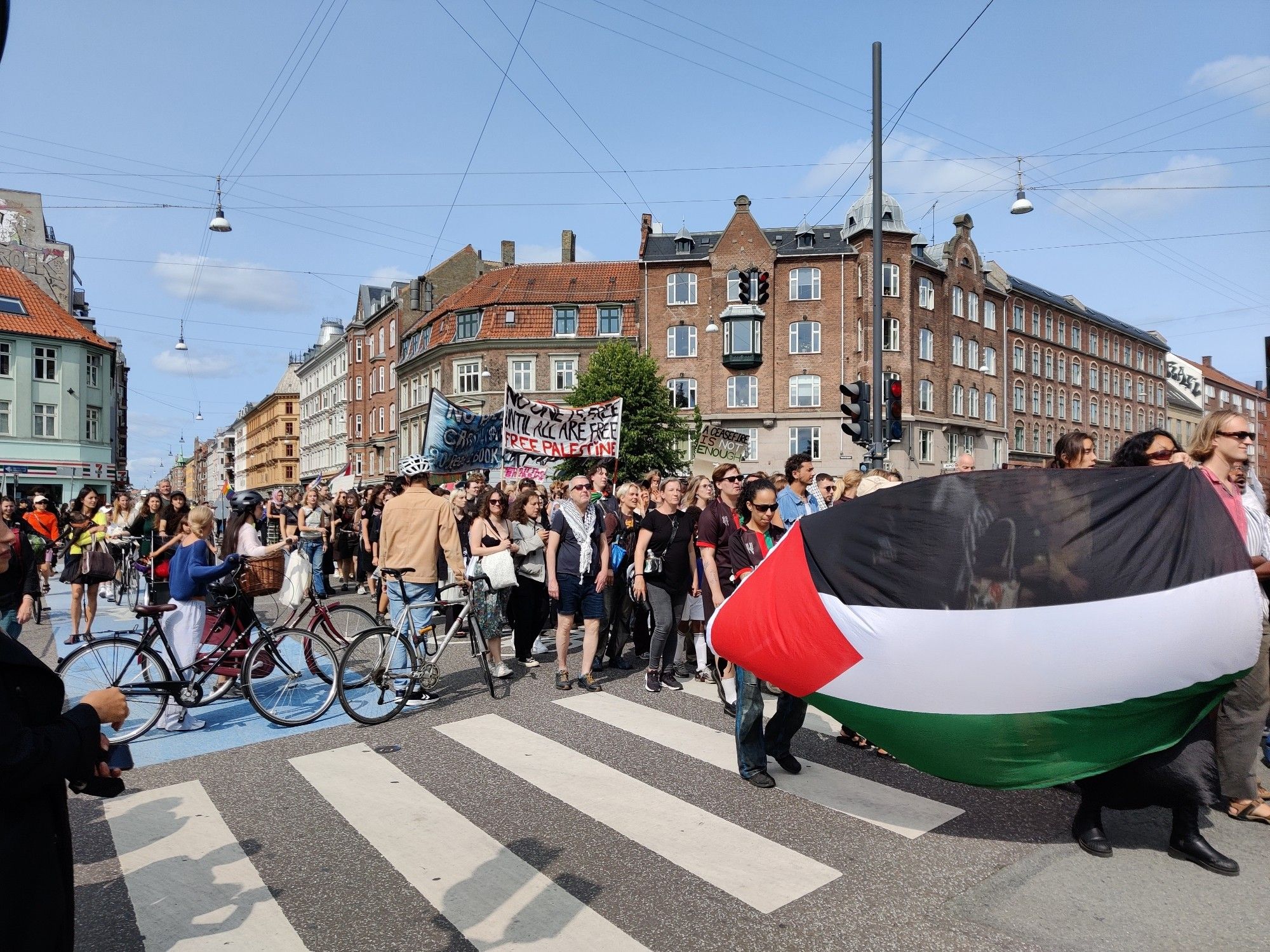 Parade walking past in sunny weather. A couple of people are holding up a Palestine flag. A banner in the background reads: no one is free until all are free. Free Palestine!