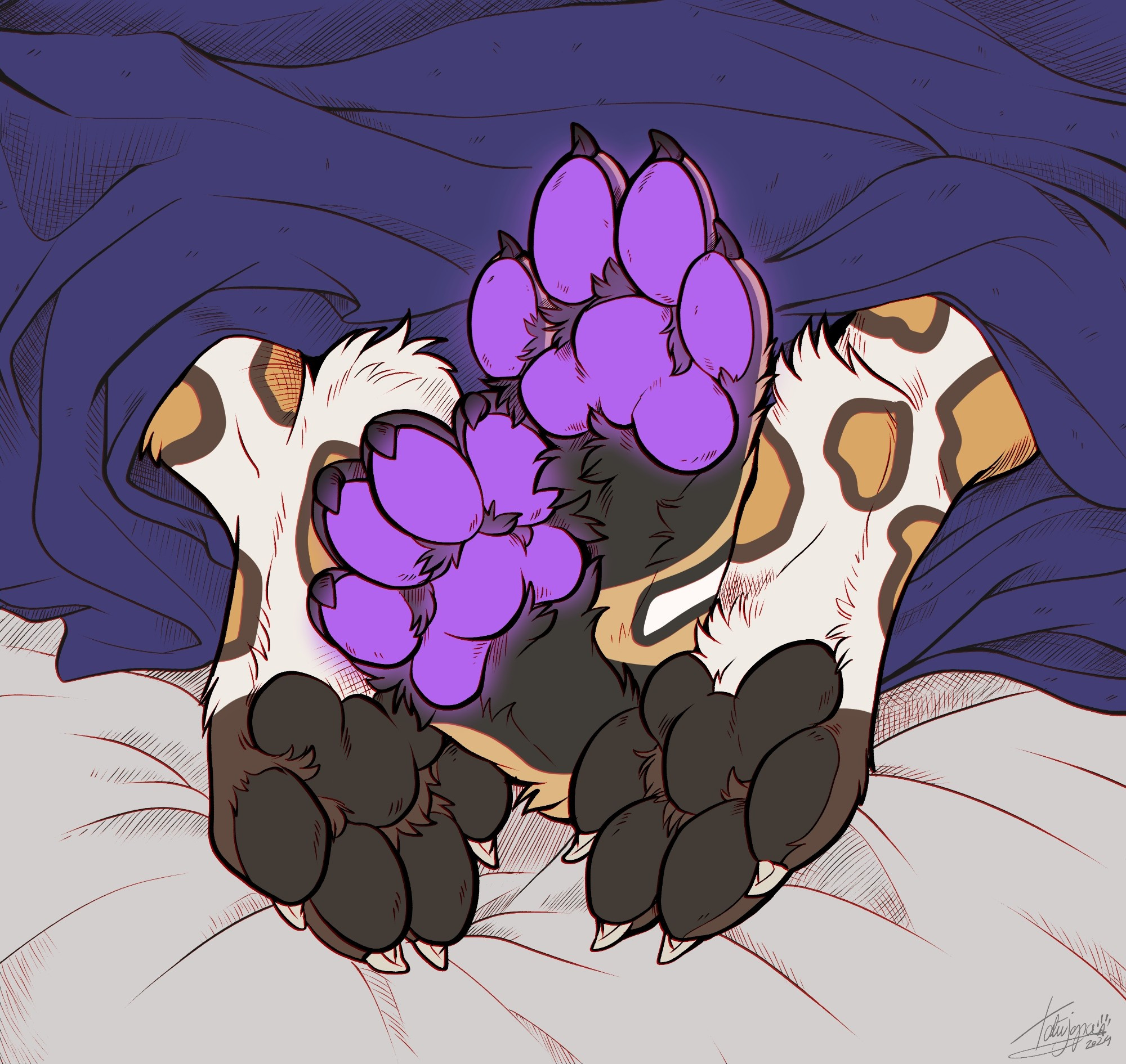 Two wild dogs being cosy under the sheets with their paws sticking out and one has happy glowing beans.