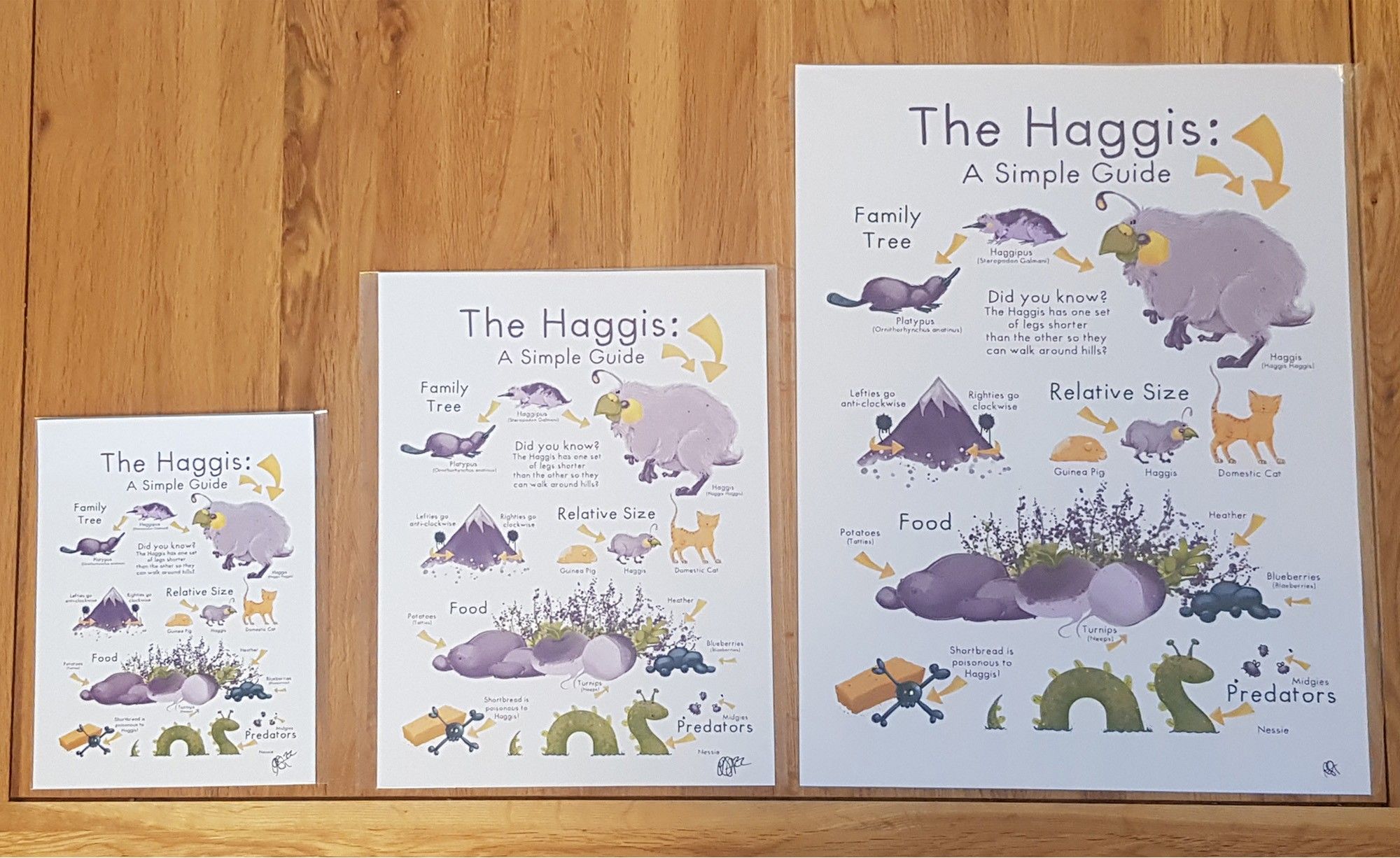 The Haggis: A Simple Guide by Rowena Aitken Illustration