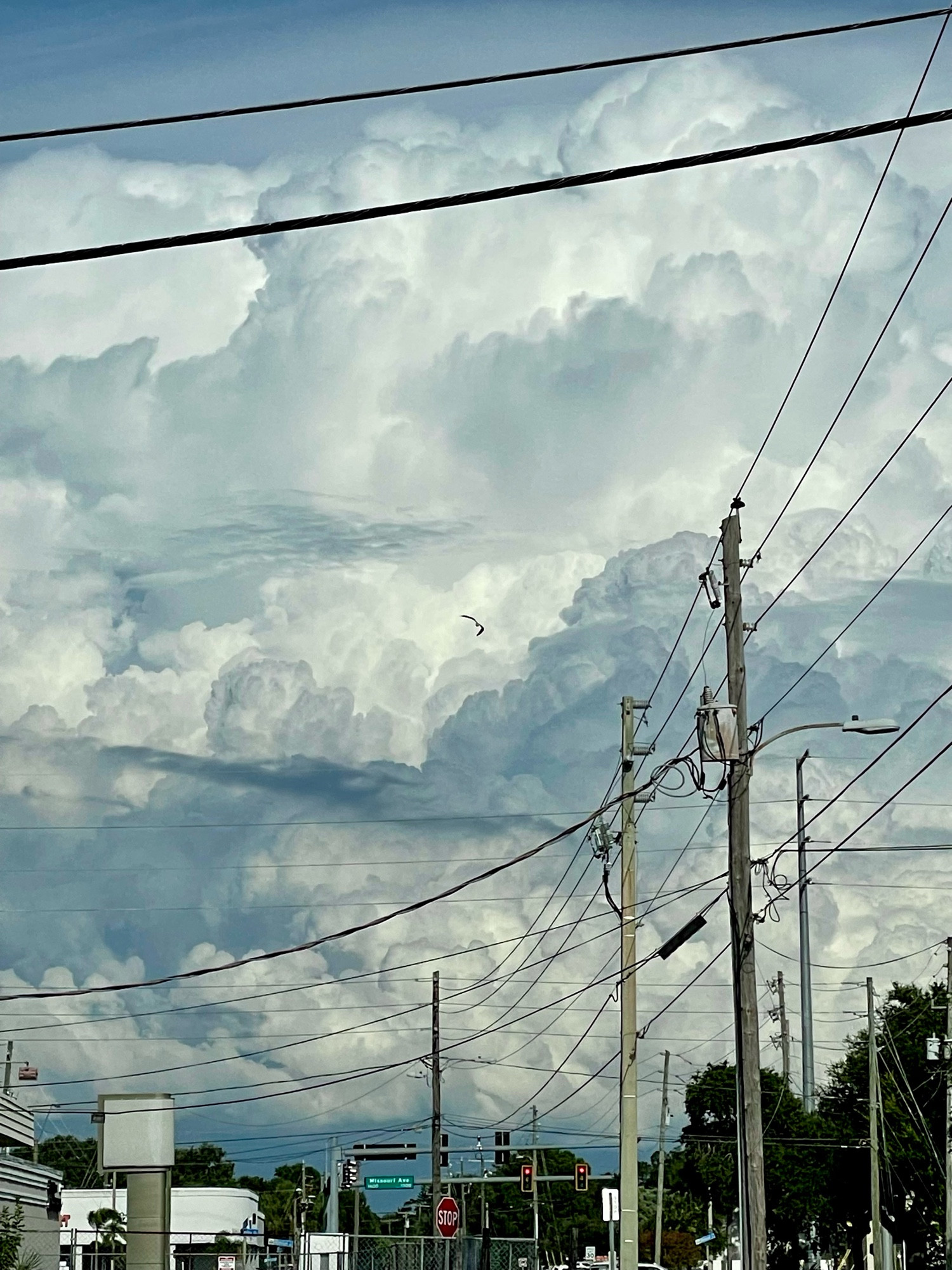 Huge billowing nimbus clouds tower in the sky in various shaded of white, grey, and hazy blue. A lone gull swings through the air. The scene is strafed with wires and poles like strange needles and threads, like man is trying to weave a barrier against nature. Dark trees hulk and bunch along the horizon, likely disappointed at all the human ephemera.