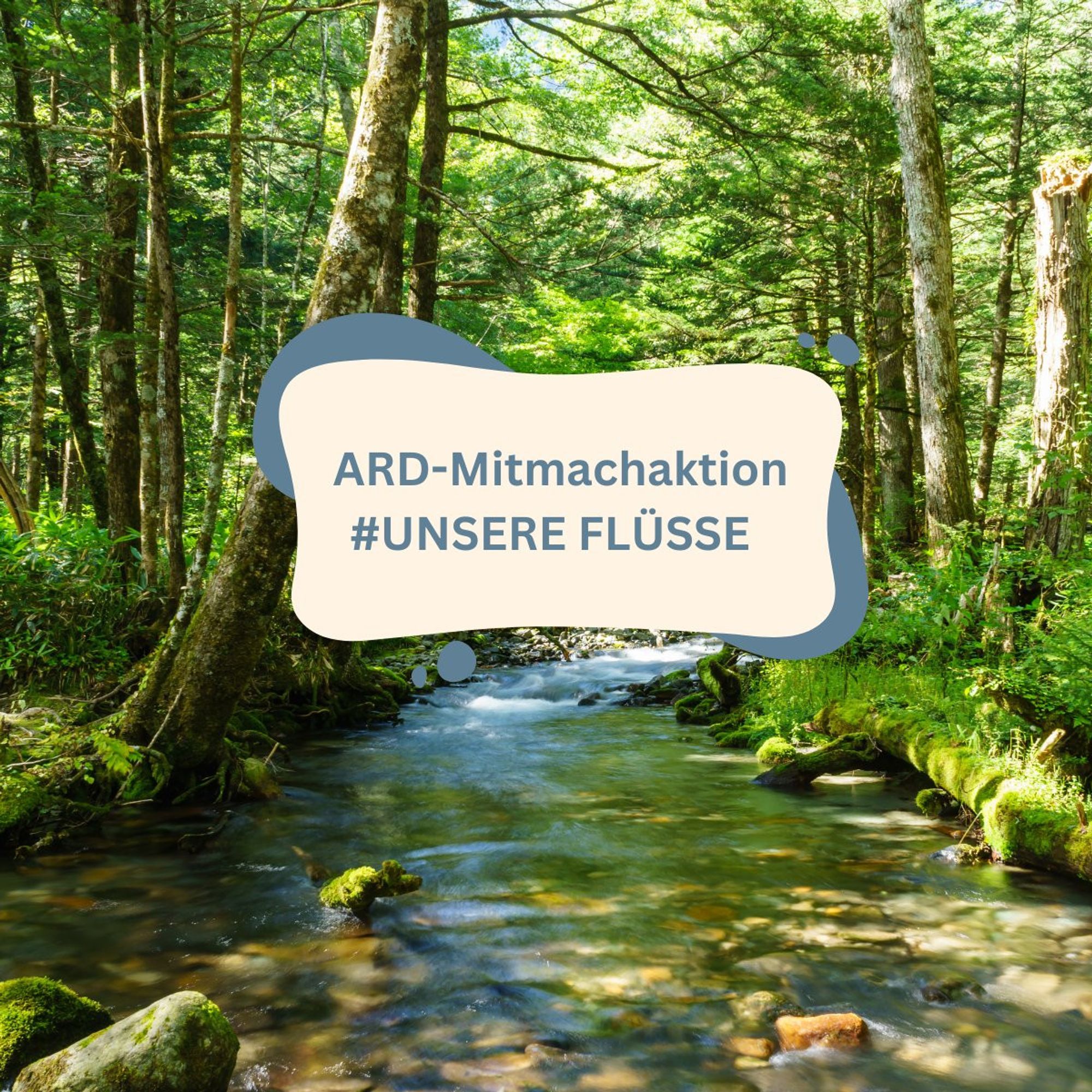 Foto: Ein Bach inmitten einer Waldes. Text: ARD-Mitmachaktion #UNSERE FLÜSSE