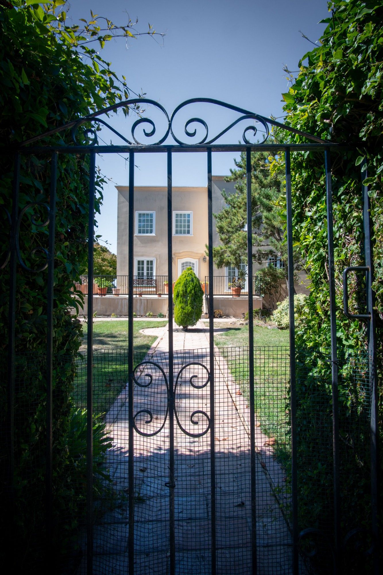 Small shrub in front of a stately mansion