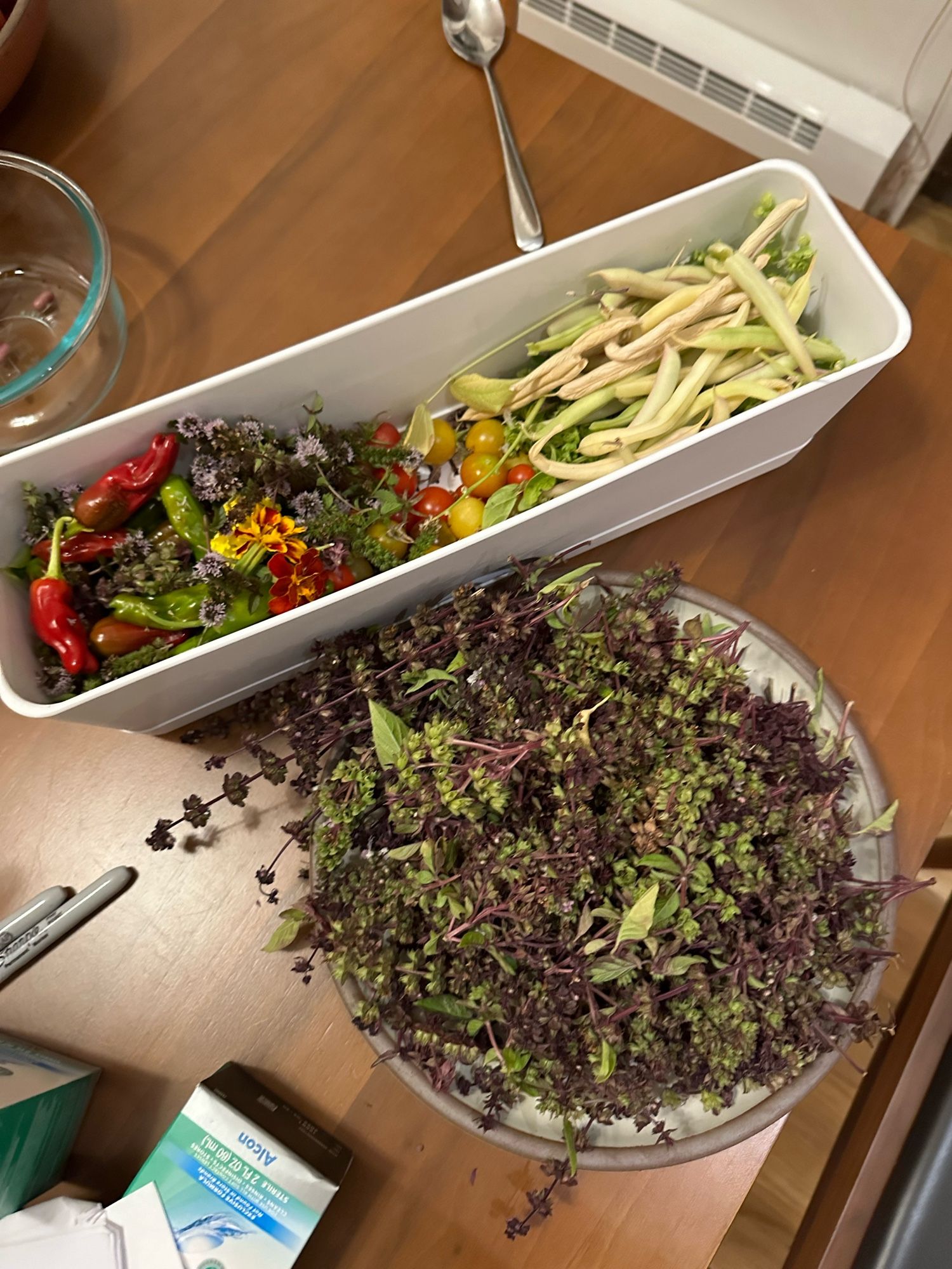 A plate of Thai basil flowers, and a planter containing beans, tomatoes, mint flowers, marigolds, and shishitos, beside sharpies for protest signs and travel size contact solution.