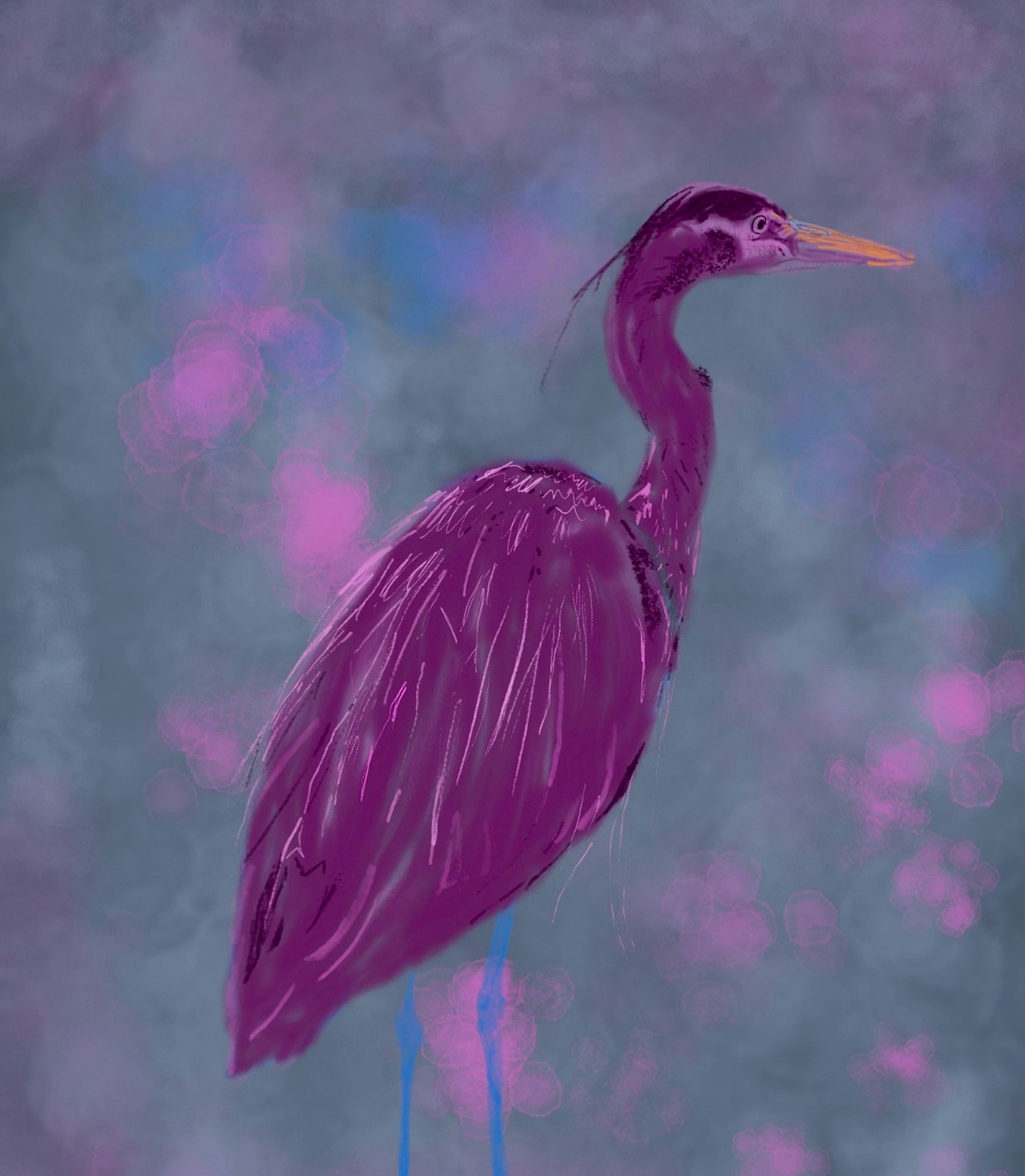 Purple heron art