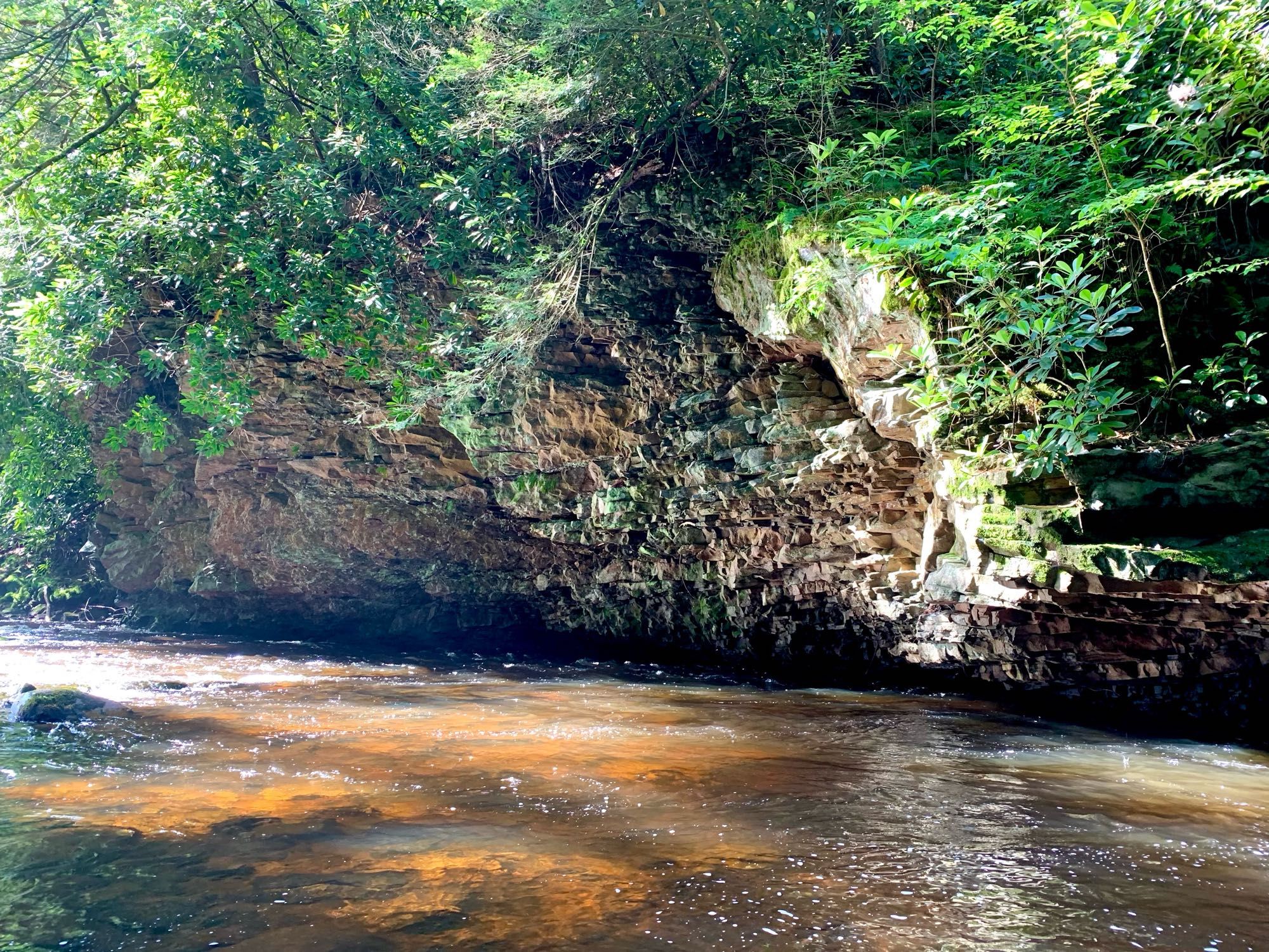 Tannish water flows swiftly beneath a towering rock cliff on the creek bank, surrounded by vibrant green bushes and trees. Sunlight illuminates the water and highlights the rugged rock formation along the creek.